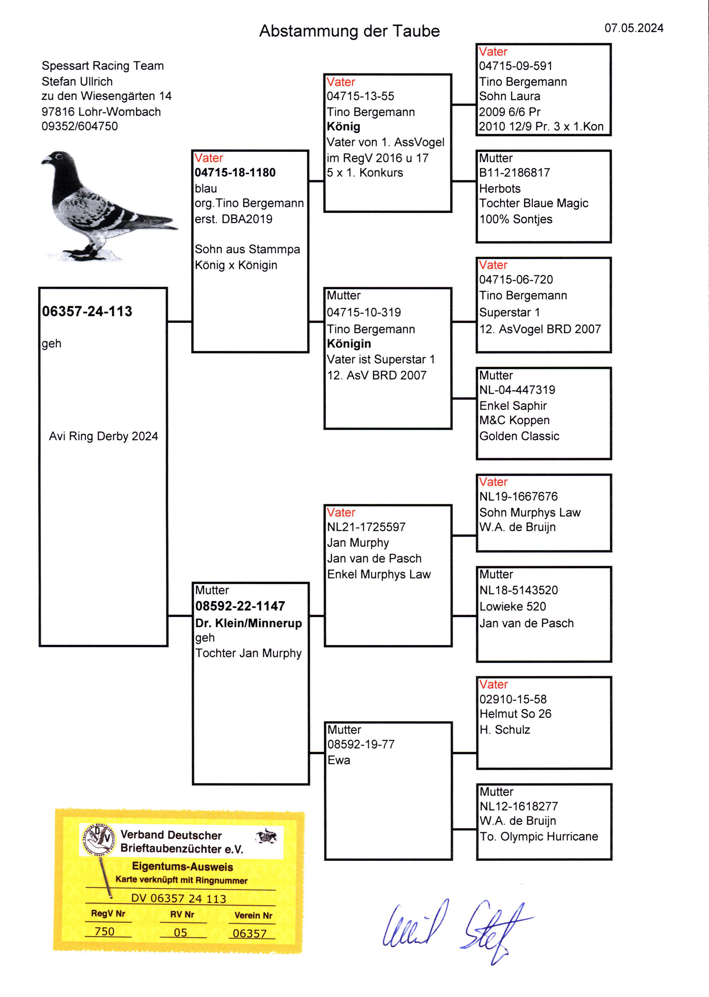 Pigeon pedigree image