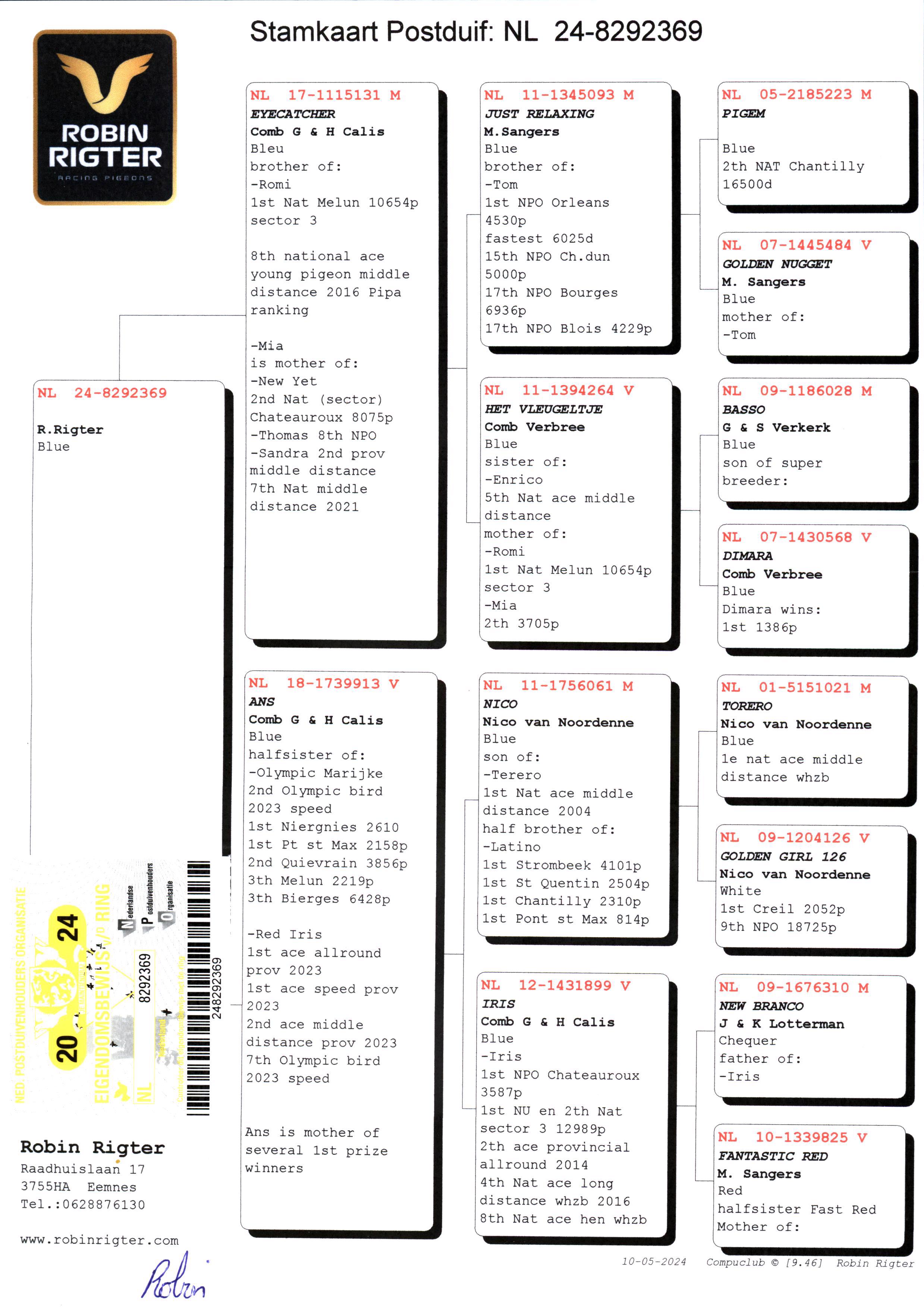 Pigeon pedigree image