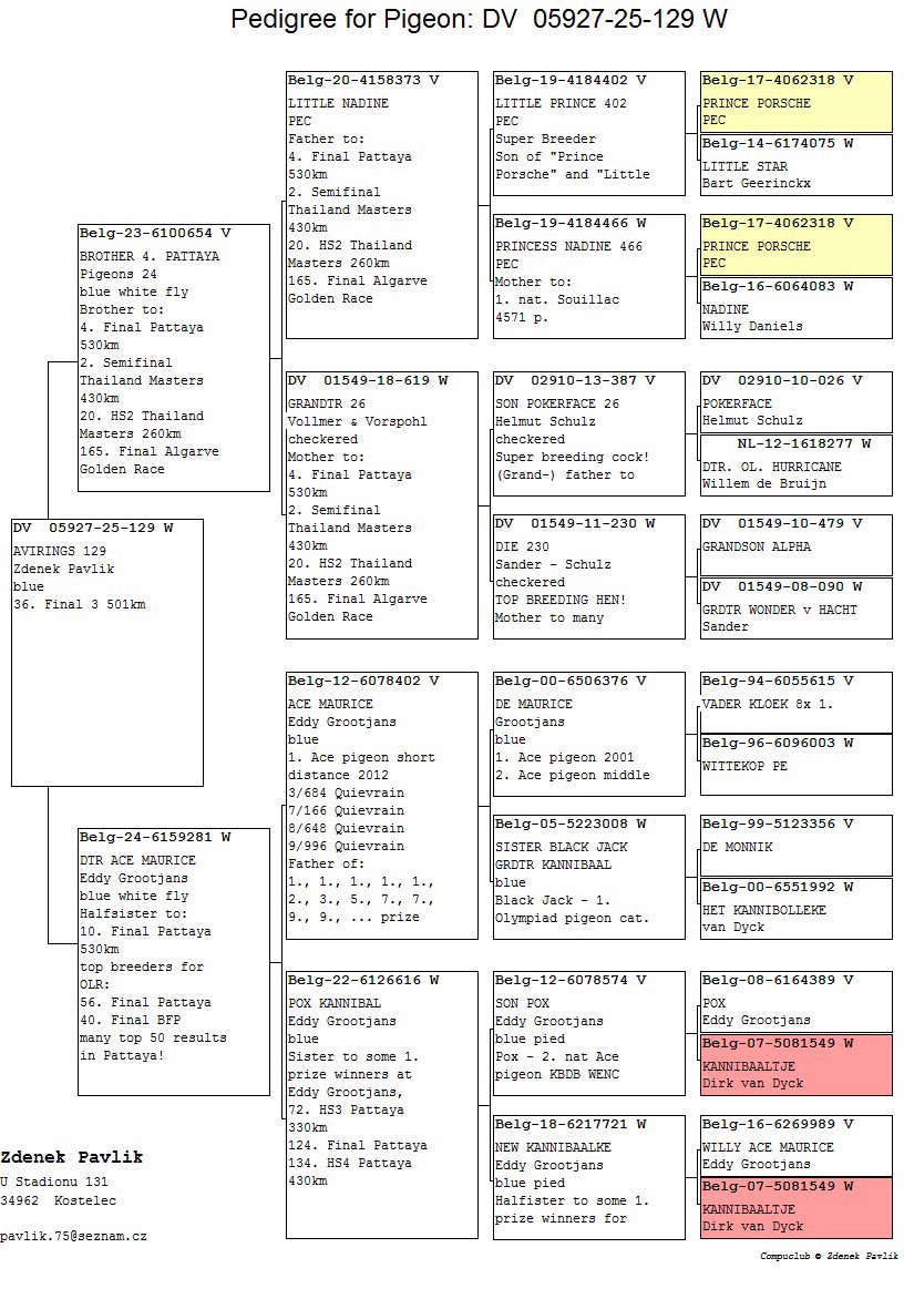 Pigeon pedigree image