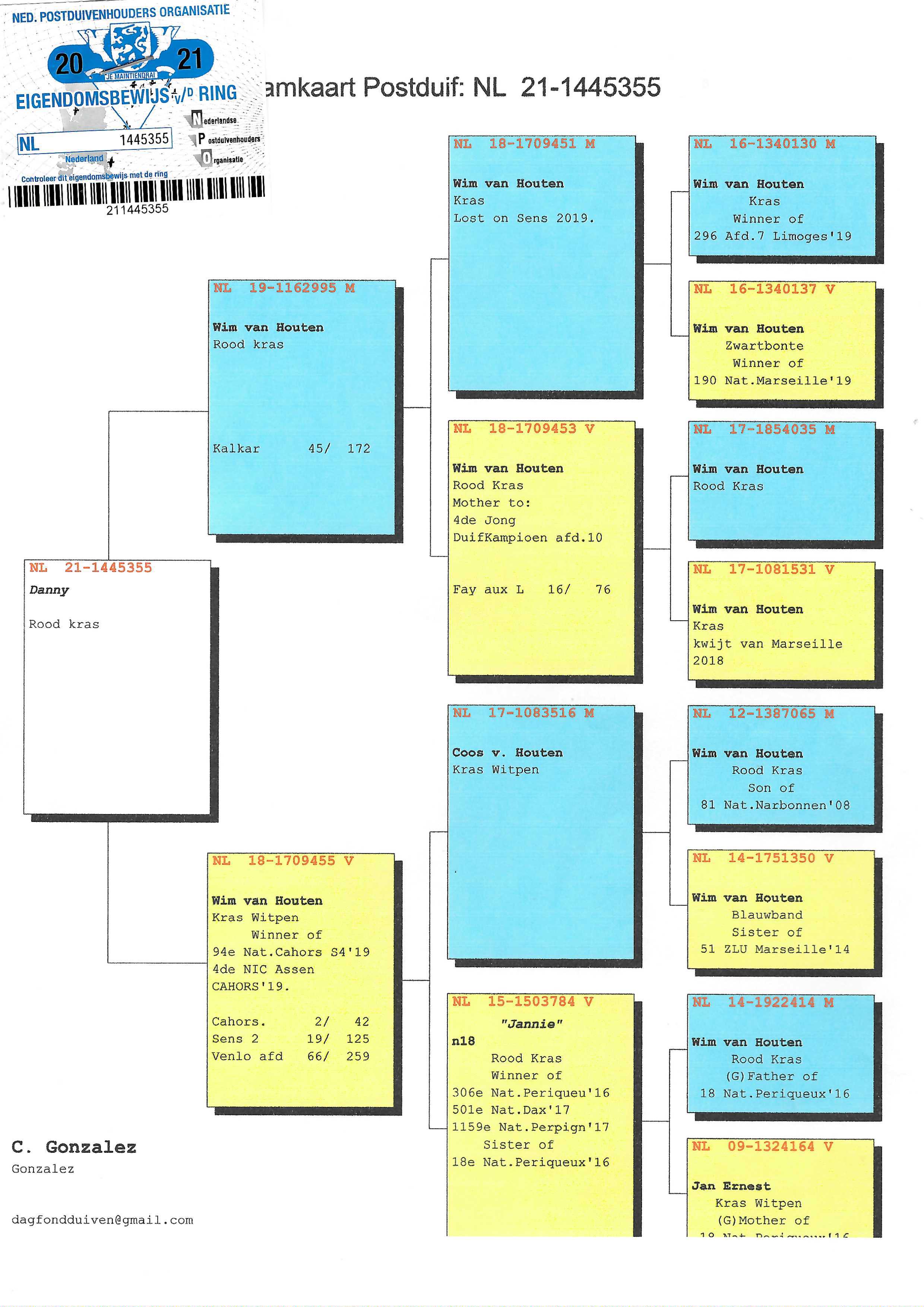 Pigeon pedigree image