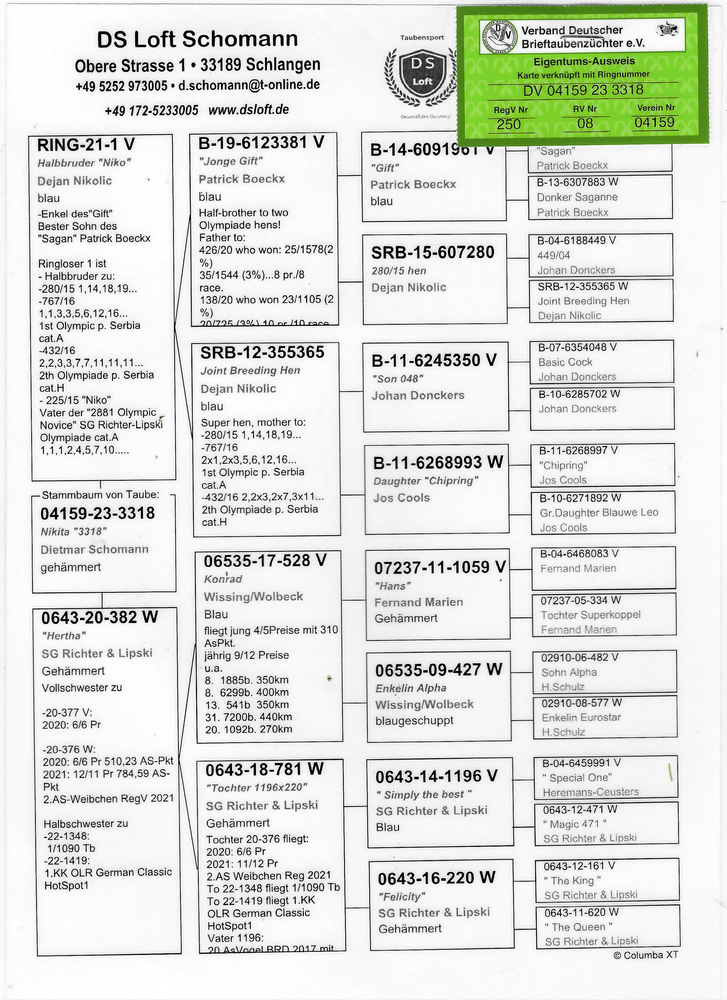 Pigeon pedigree image
