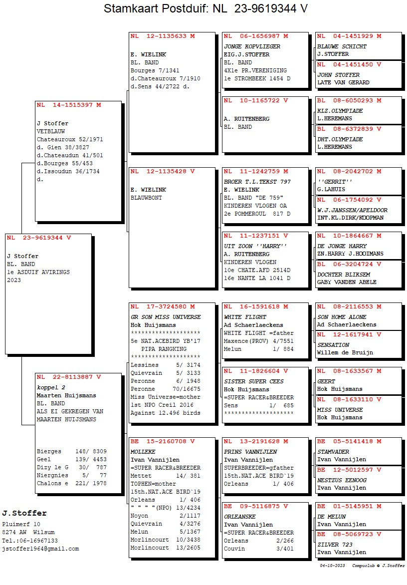 Pigeon pedigree image