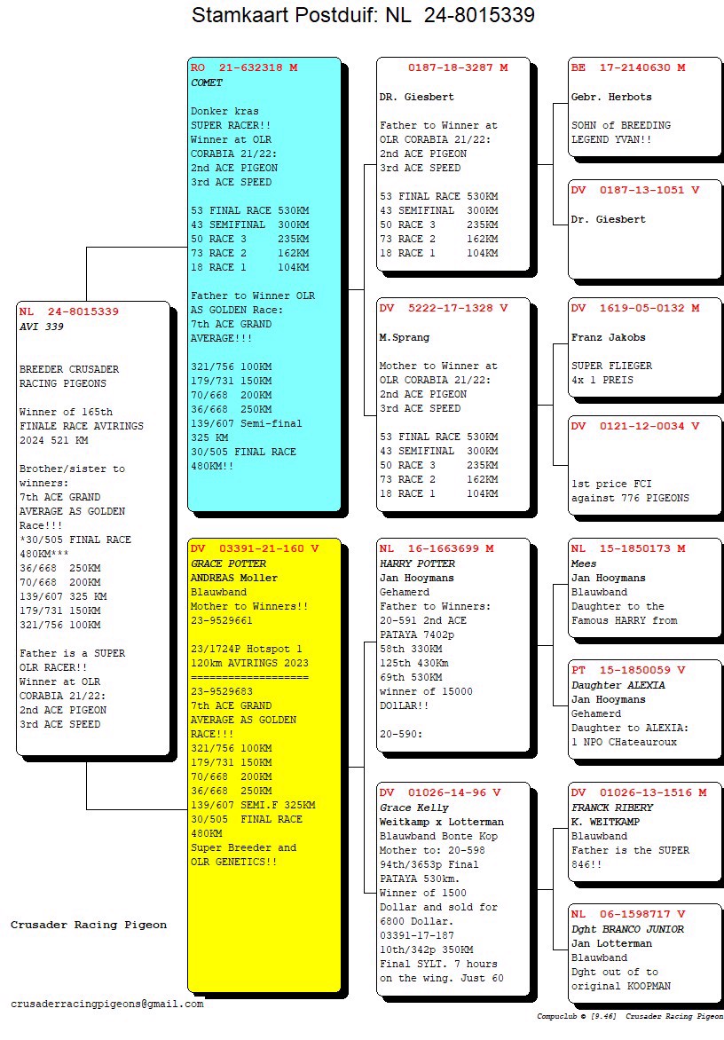 Pigeon pedigree image