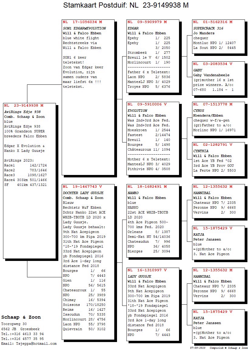 Pigeon pedigree image