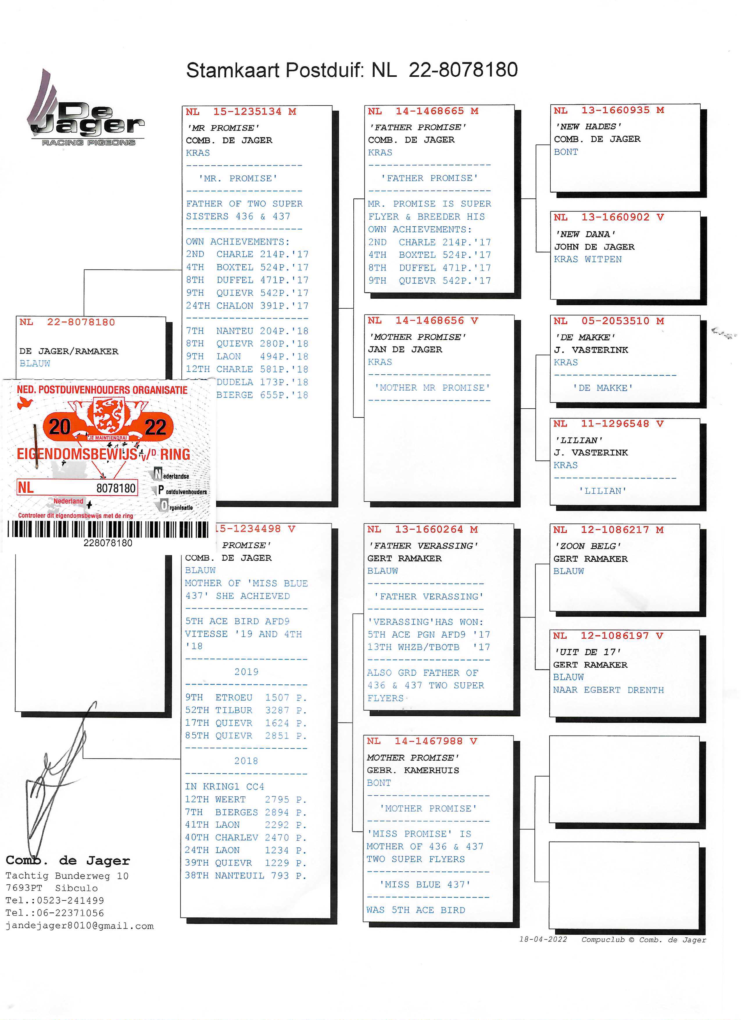 Pigeon pedigree image