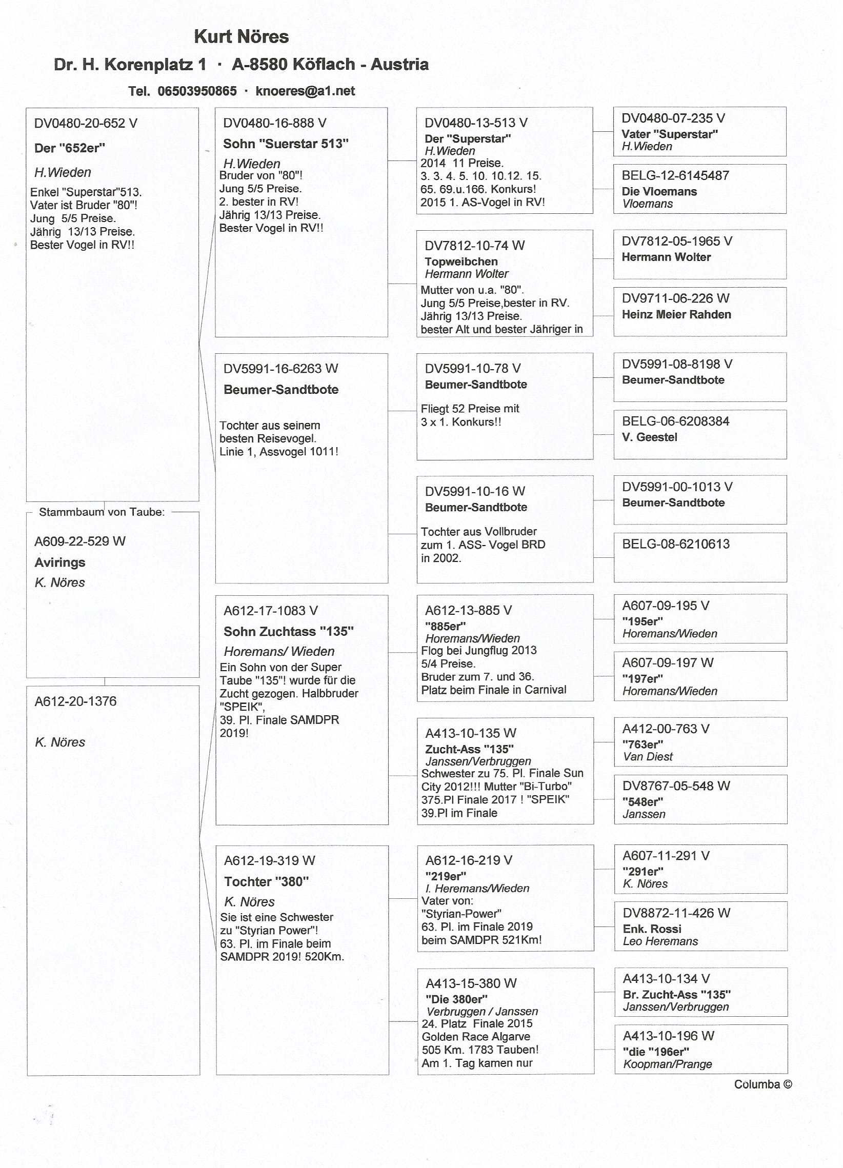 Pigeon pedigree image