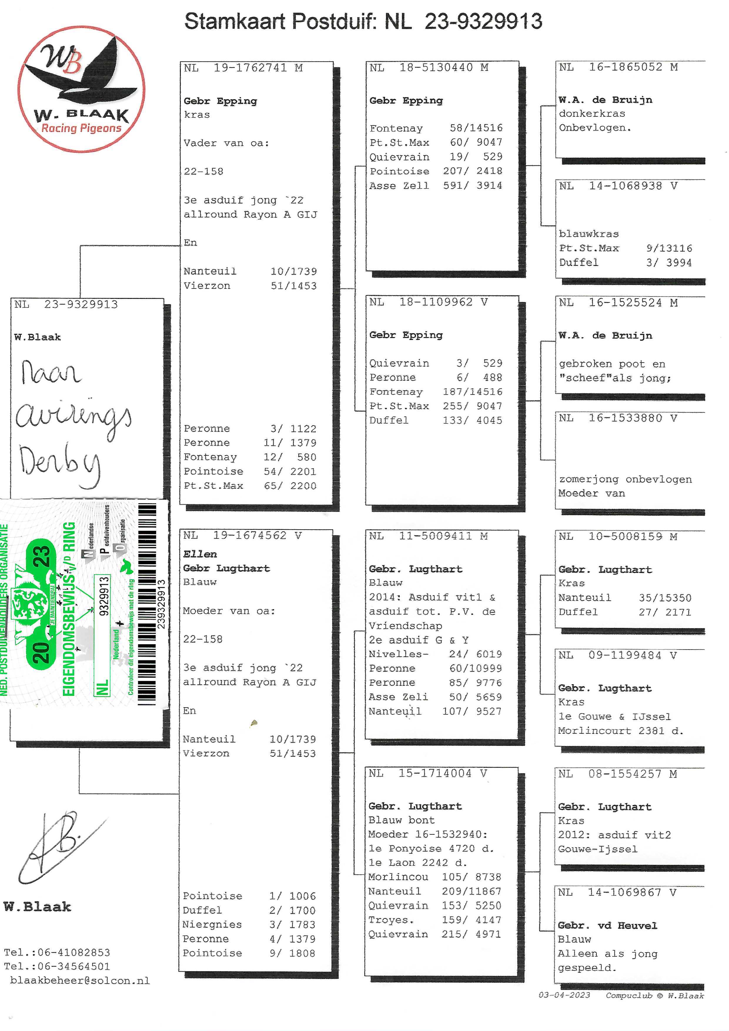 Pigeon pedigree image