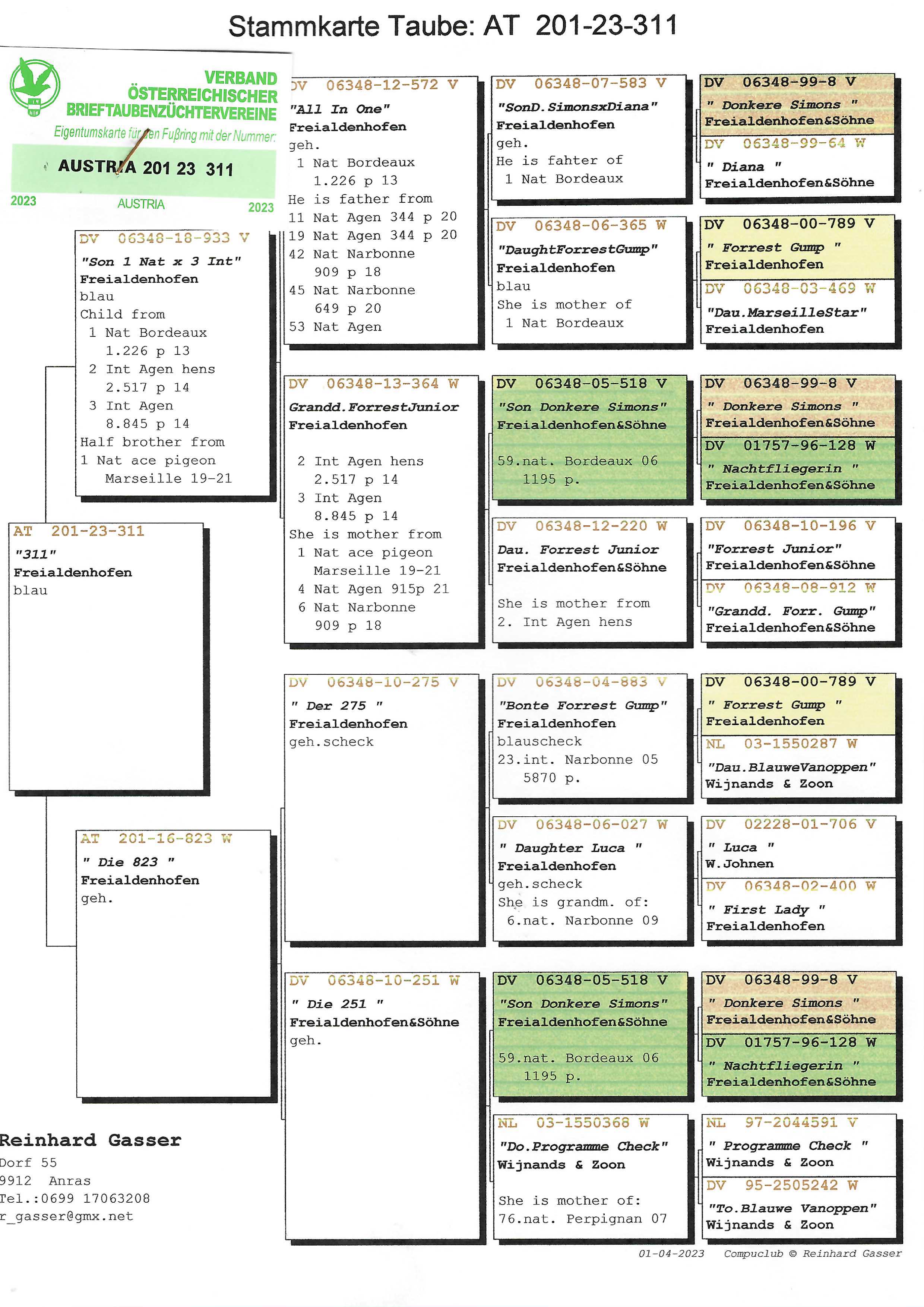 Pigeon pedigree image