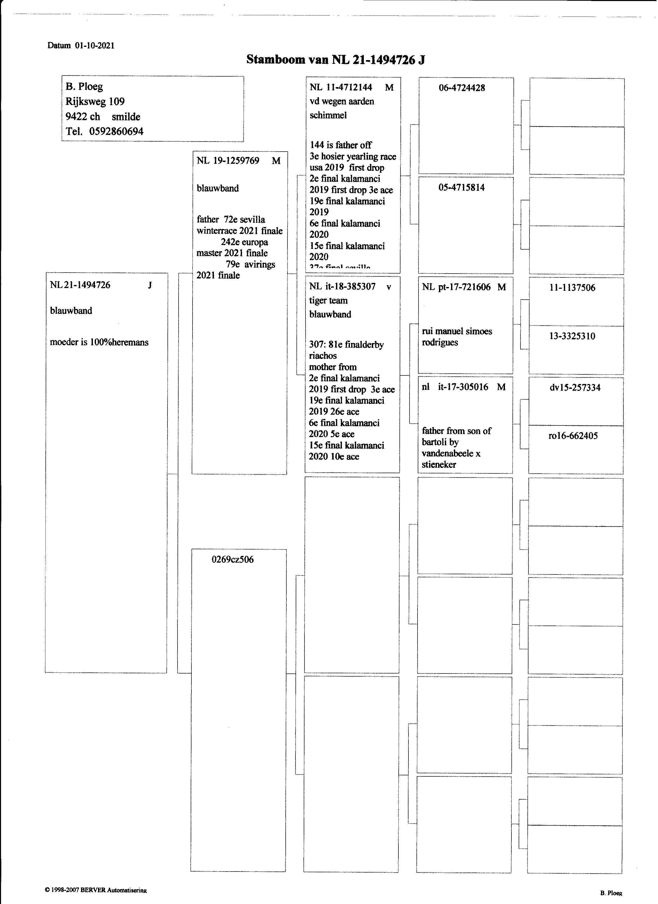 Pigeon pedigree image