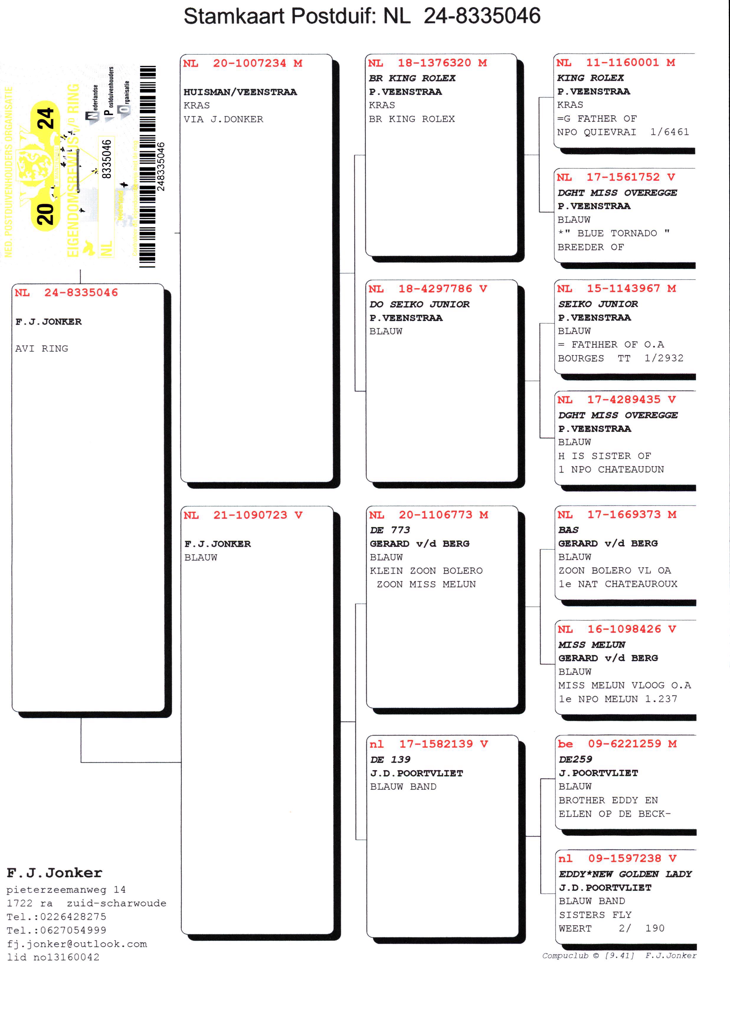 Pigeon pedigree image