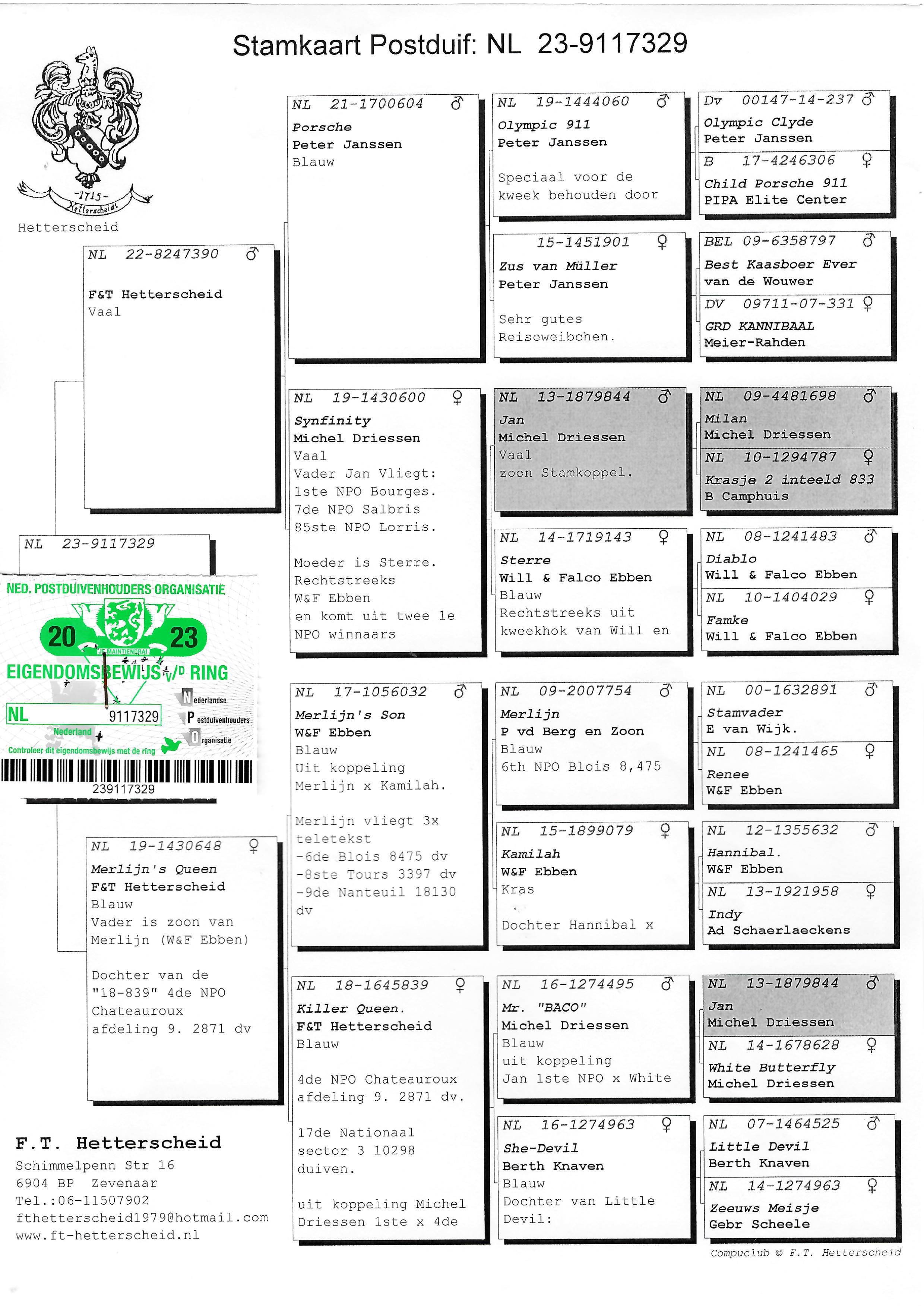 Pigeon pedigree image
