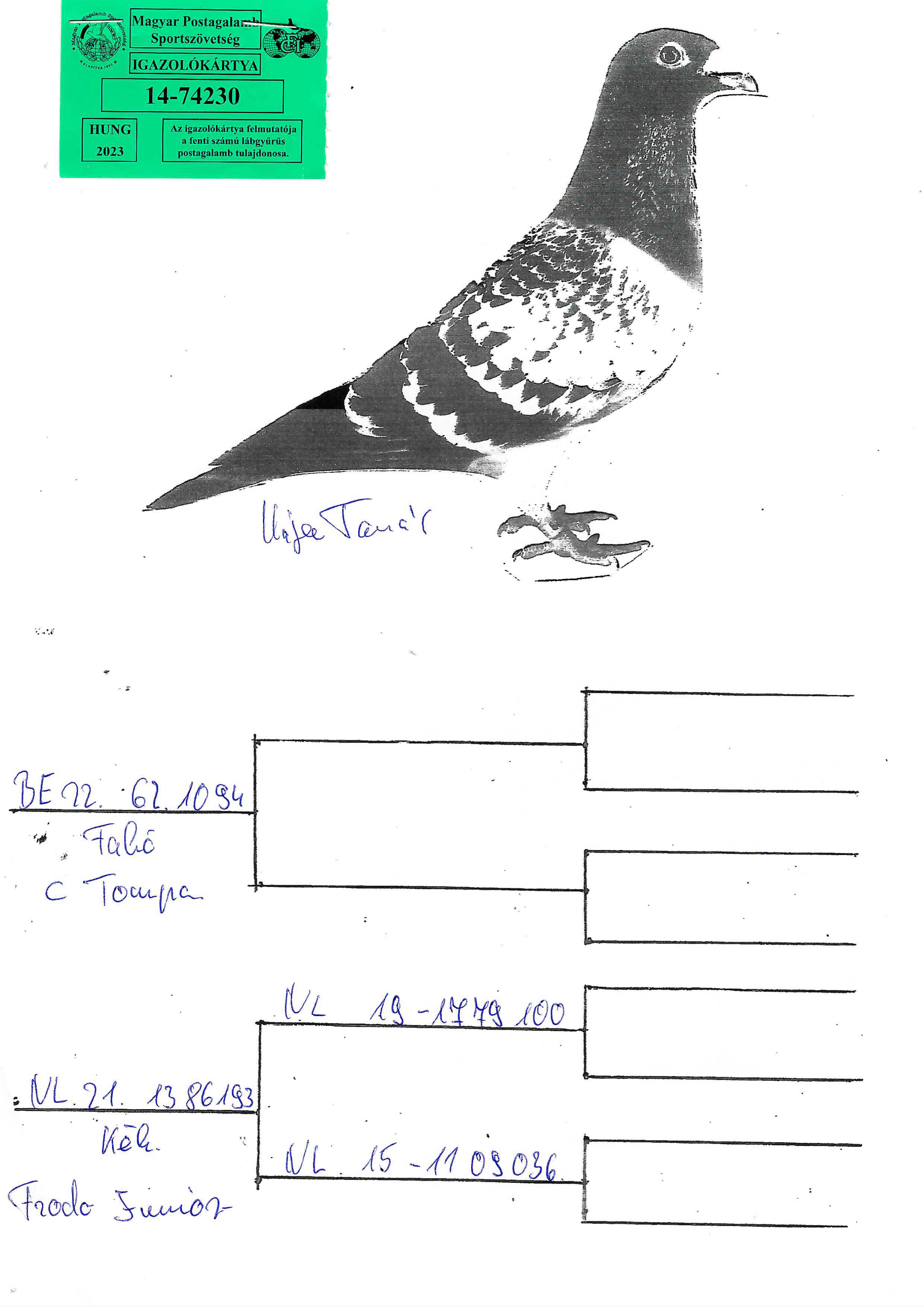 Pigeon pedigree image