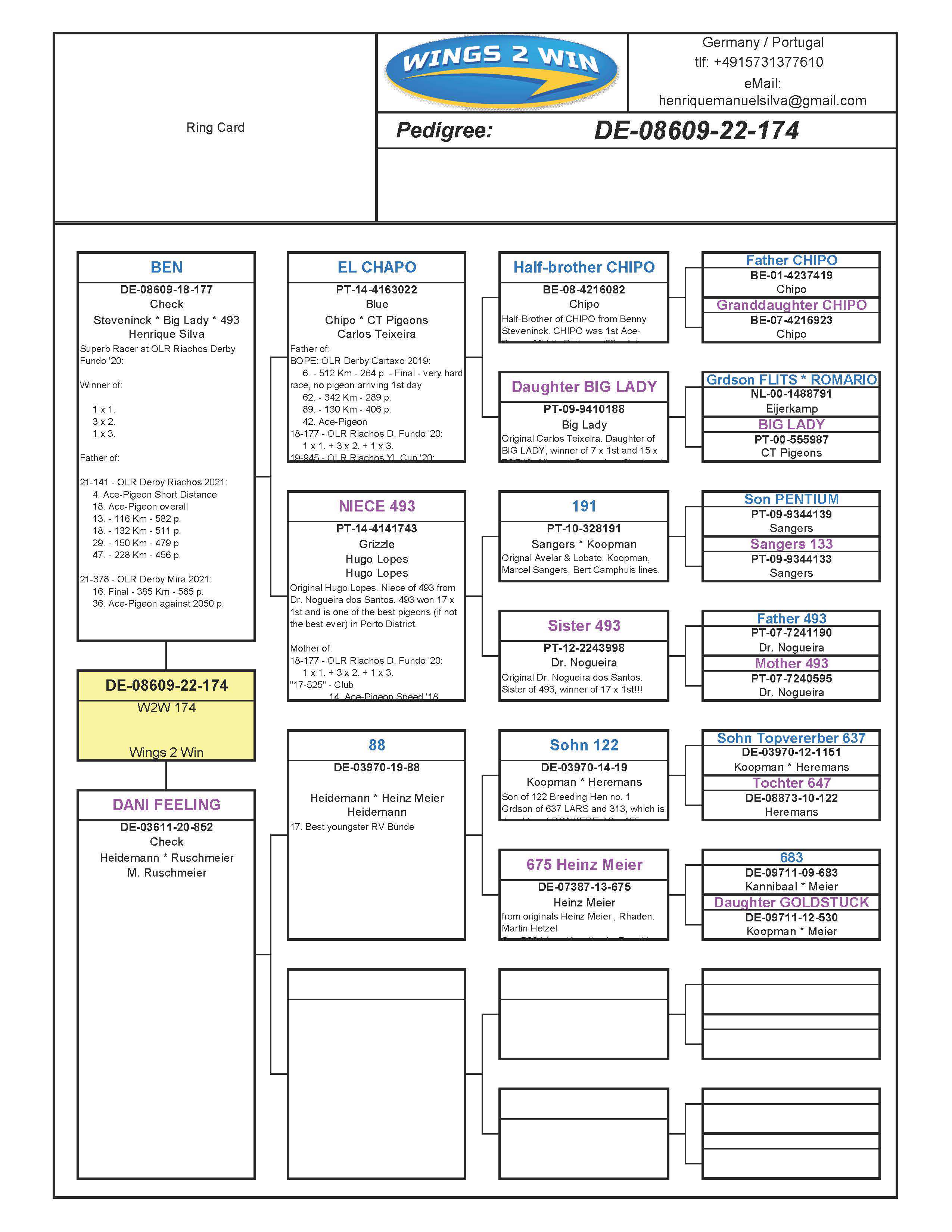 Pigeon pedigree image