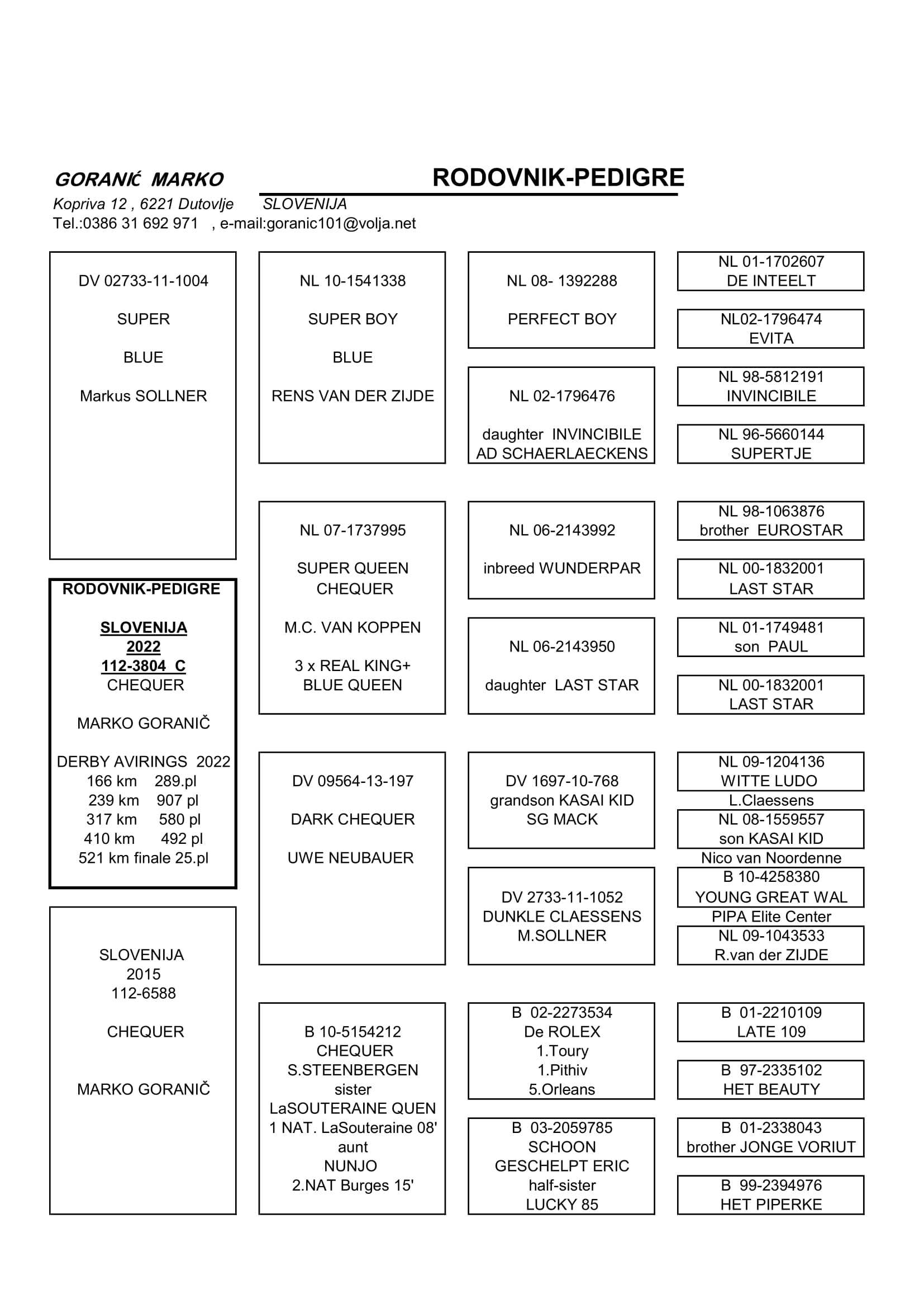 Pigeon pedigree image