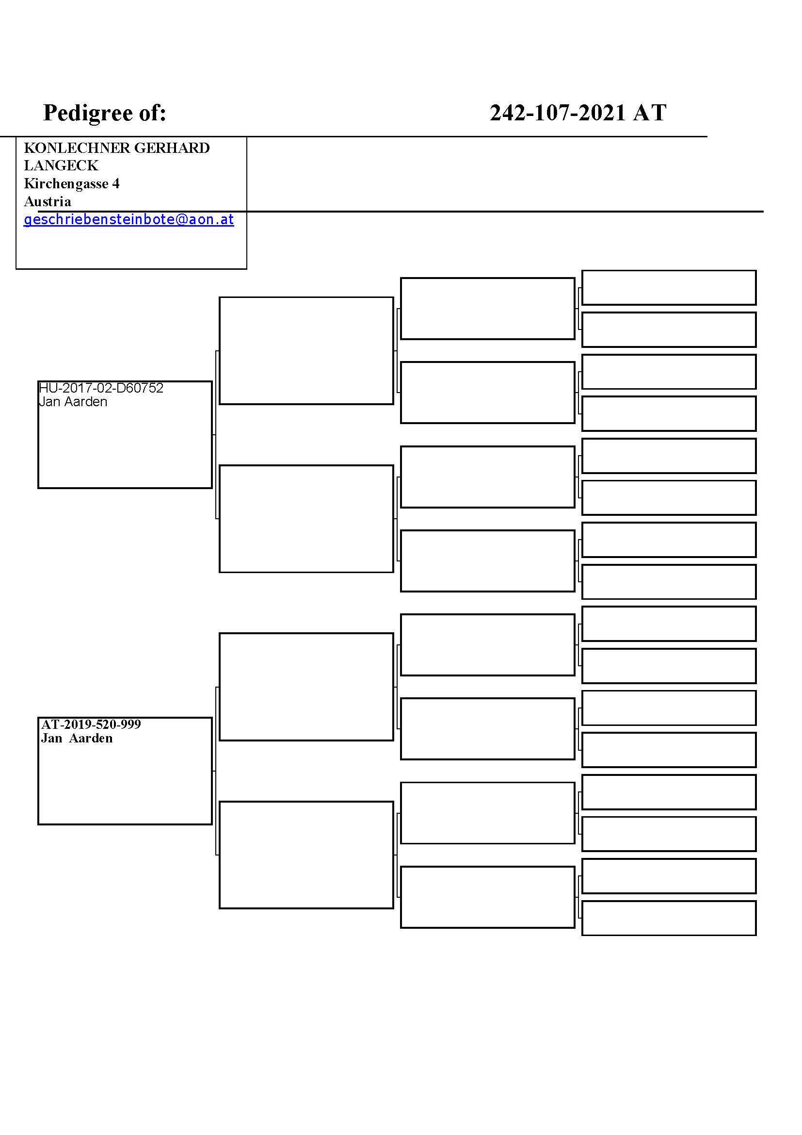 Pigeon pedigree image