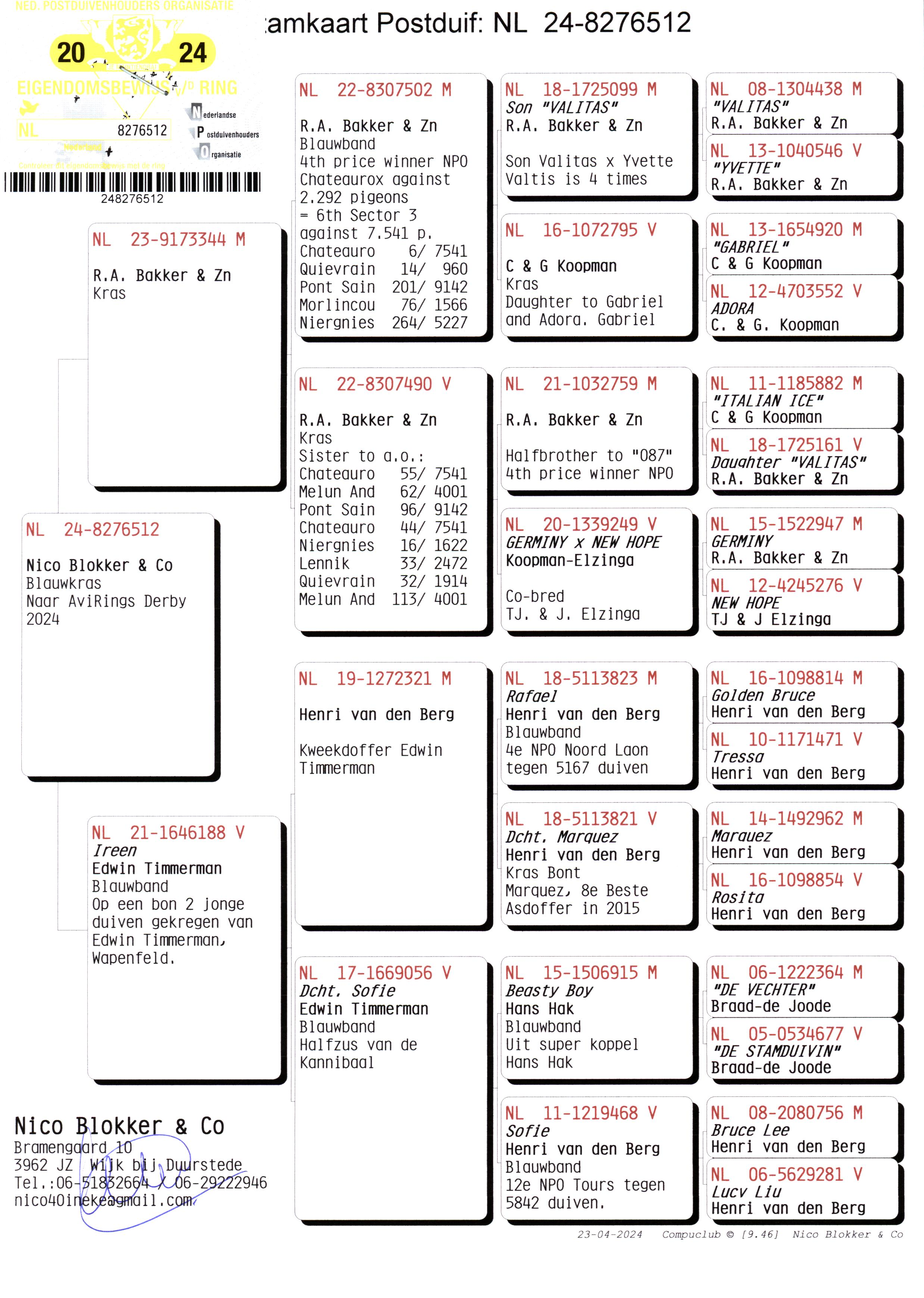 Pigeon pedigree image