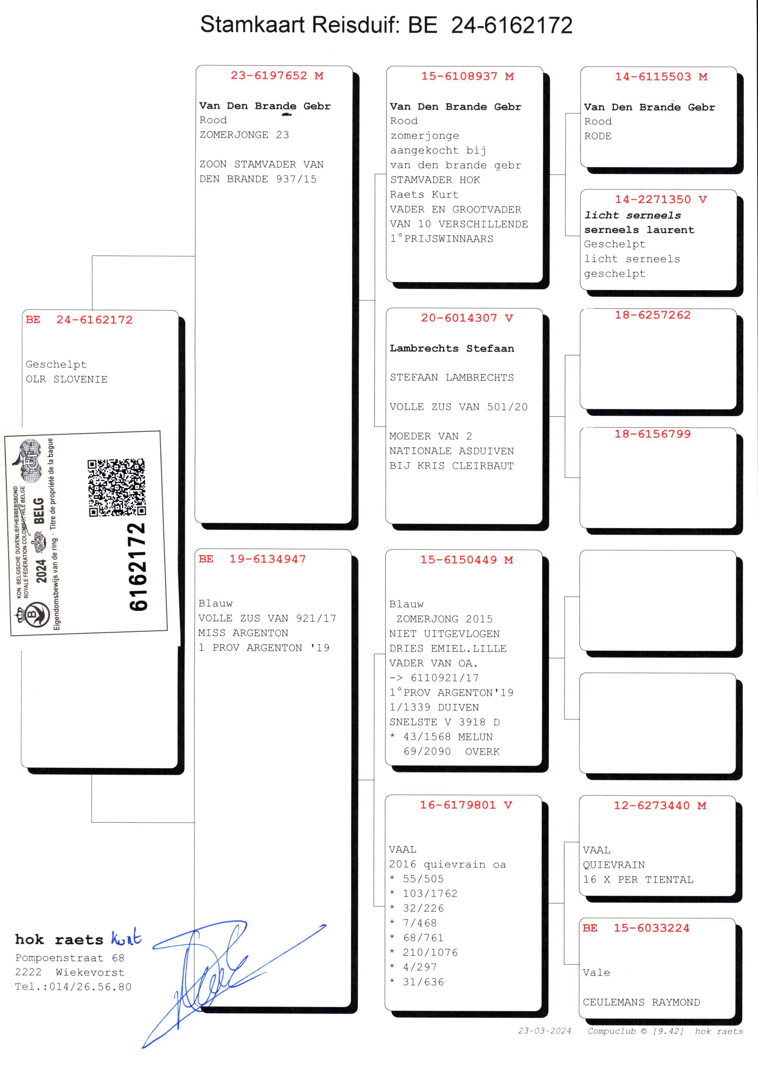 Pigeon pedigree image