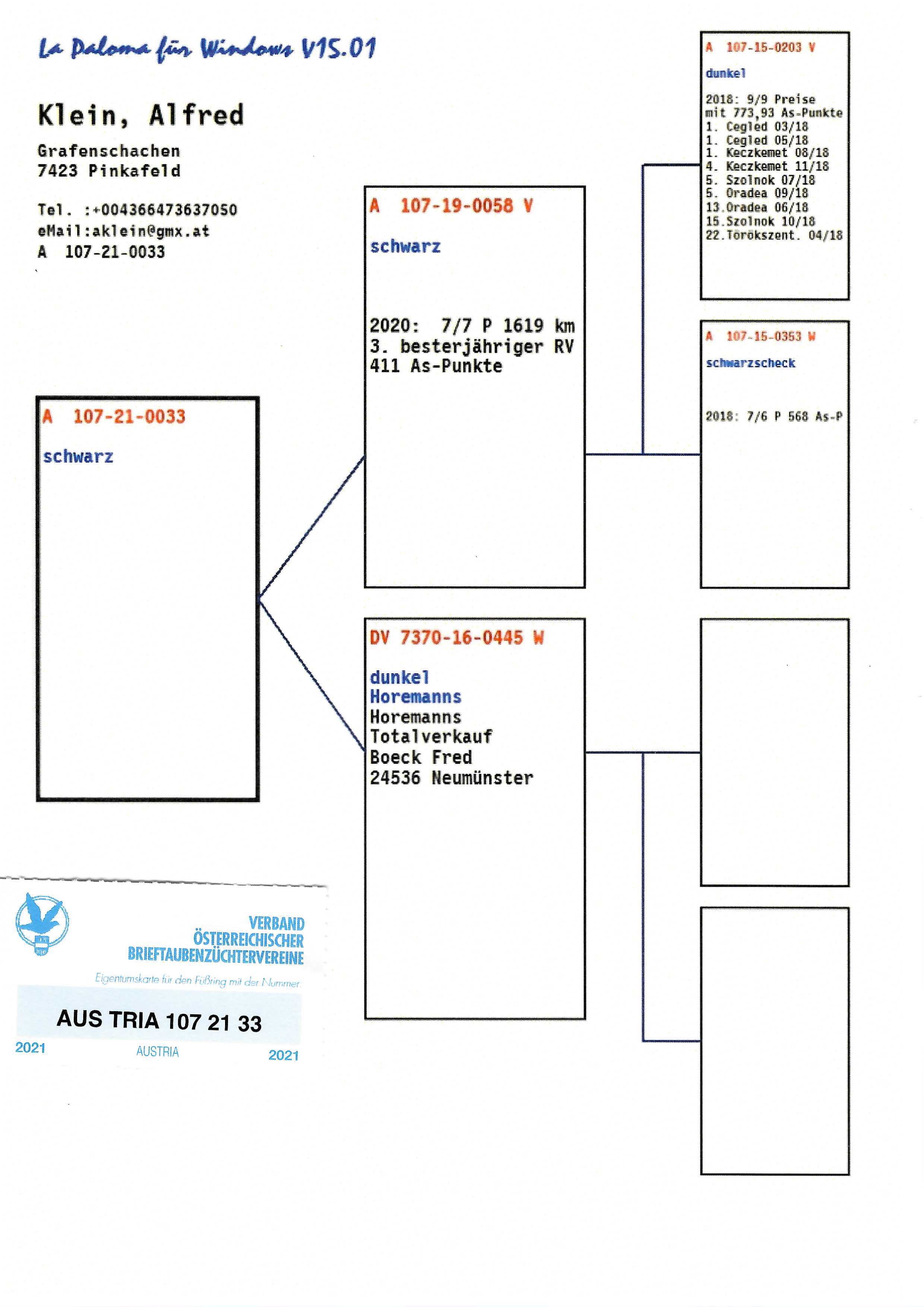 Pigeon pedigree image