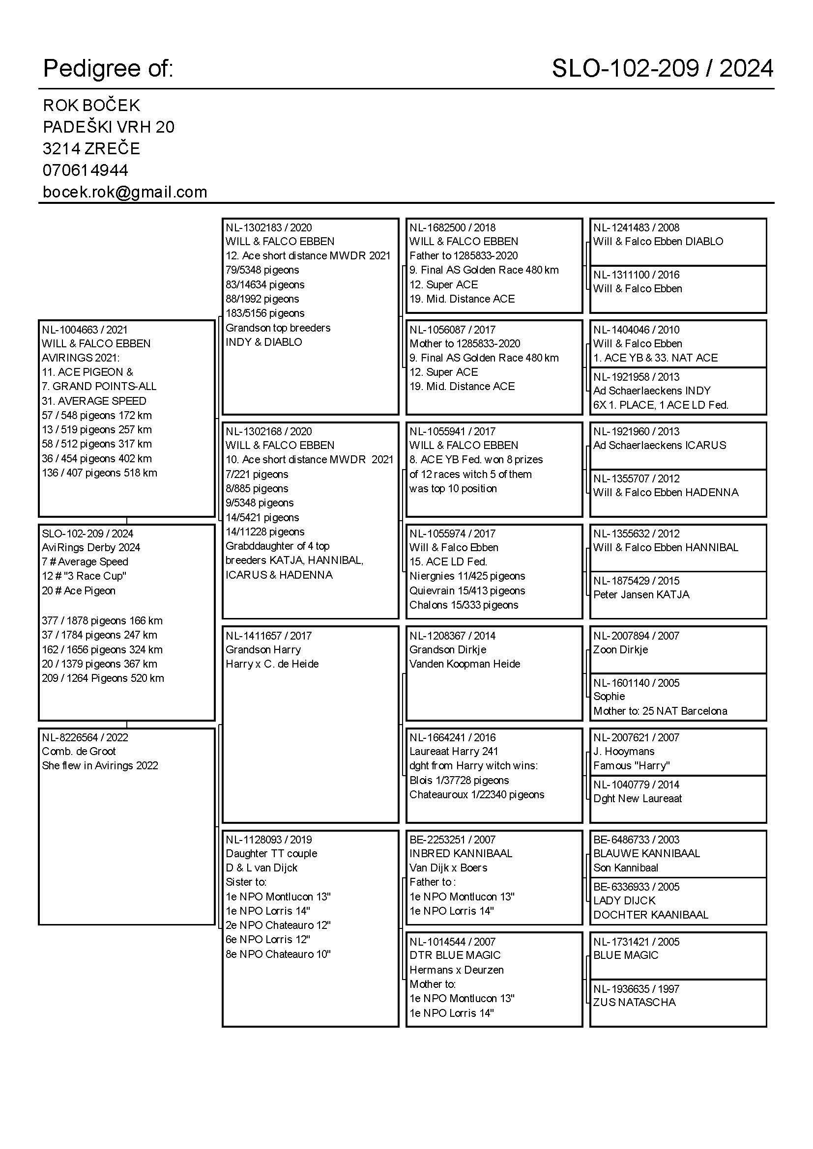 Pigeon pedigree image