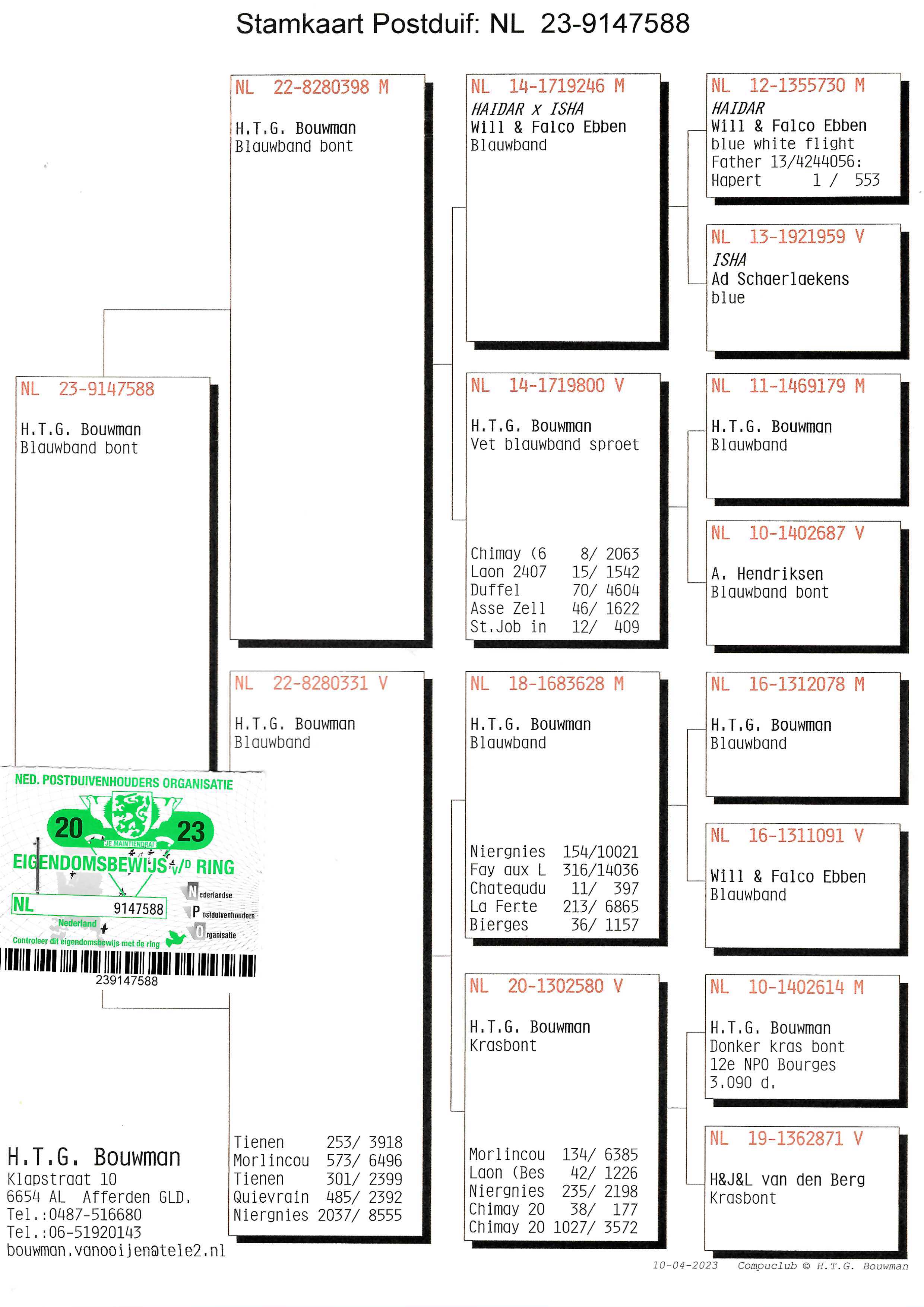 Pigeon pedigree image