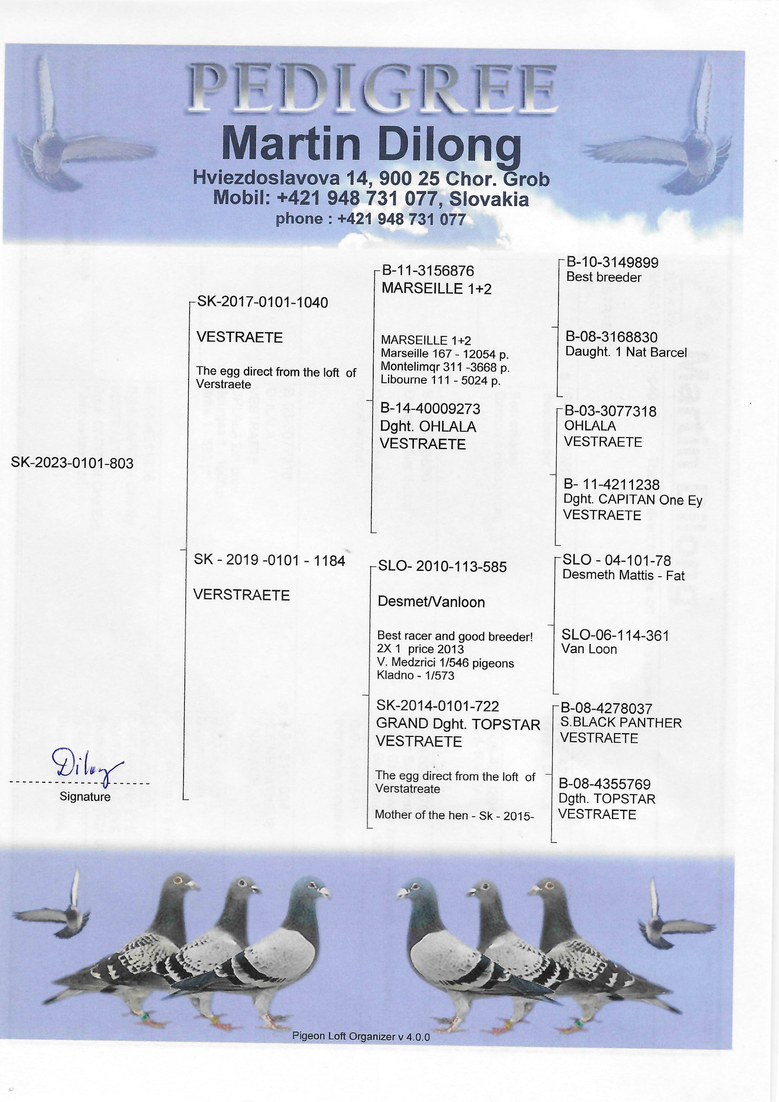 Pigeon pedigree image