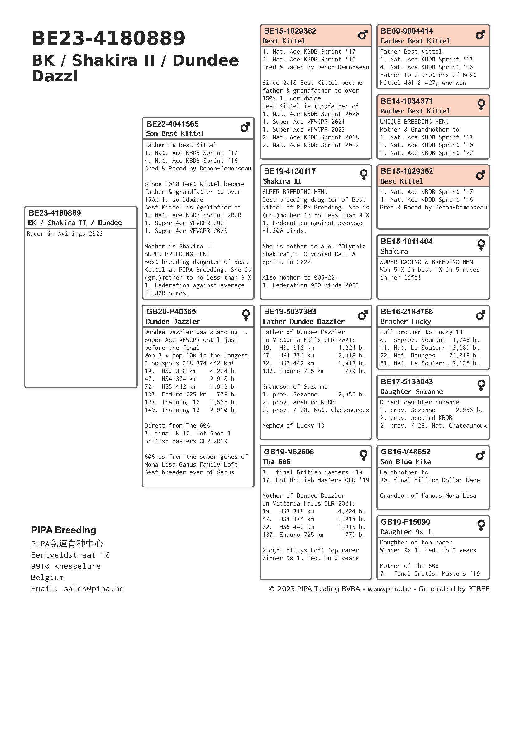 Pigeon pedigree image