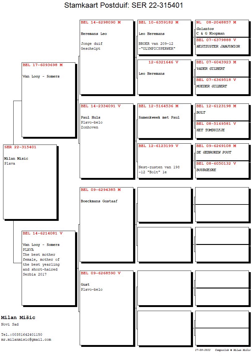 Pigeon pedigree image