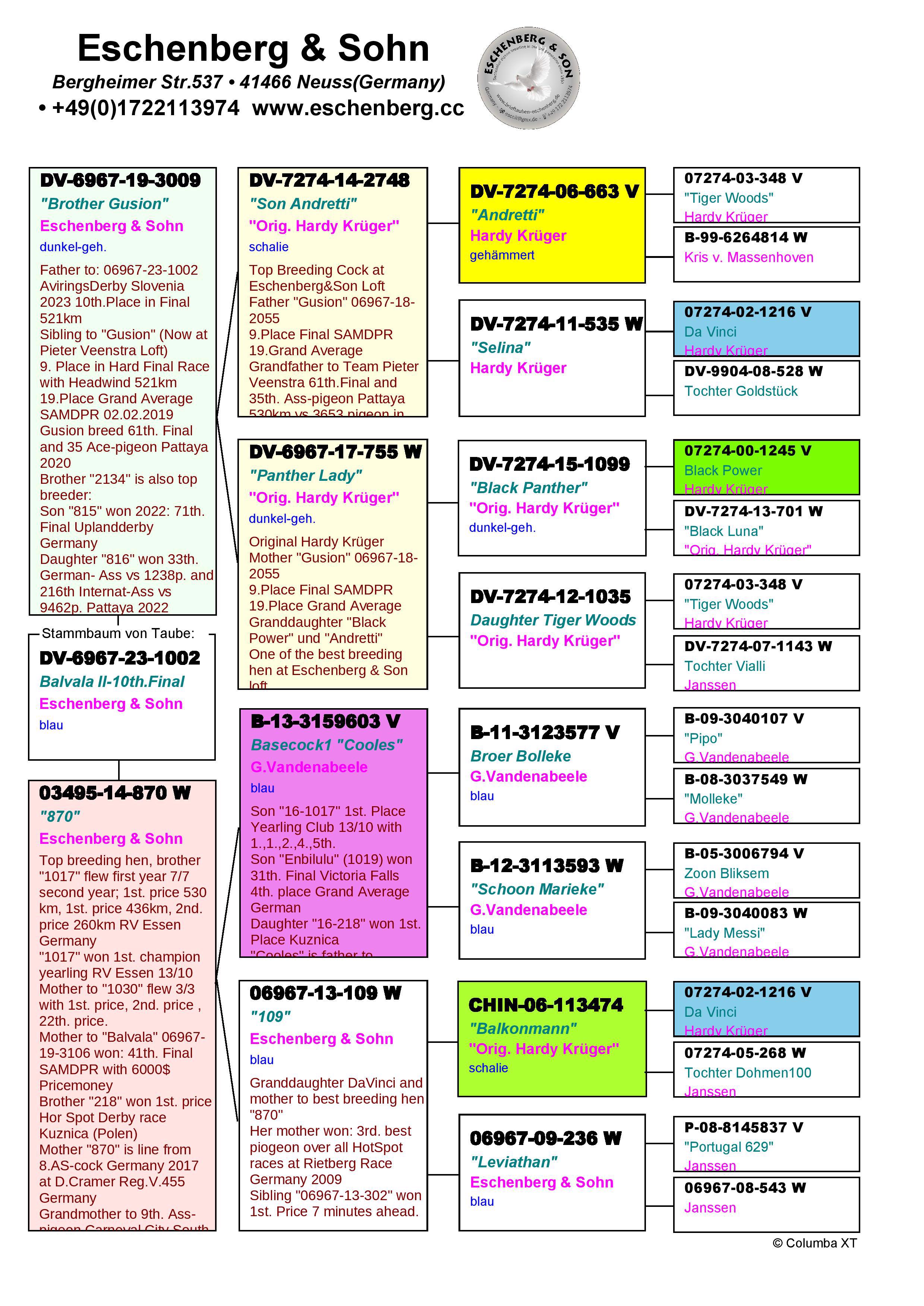 Pigeon pedigree image