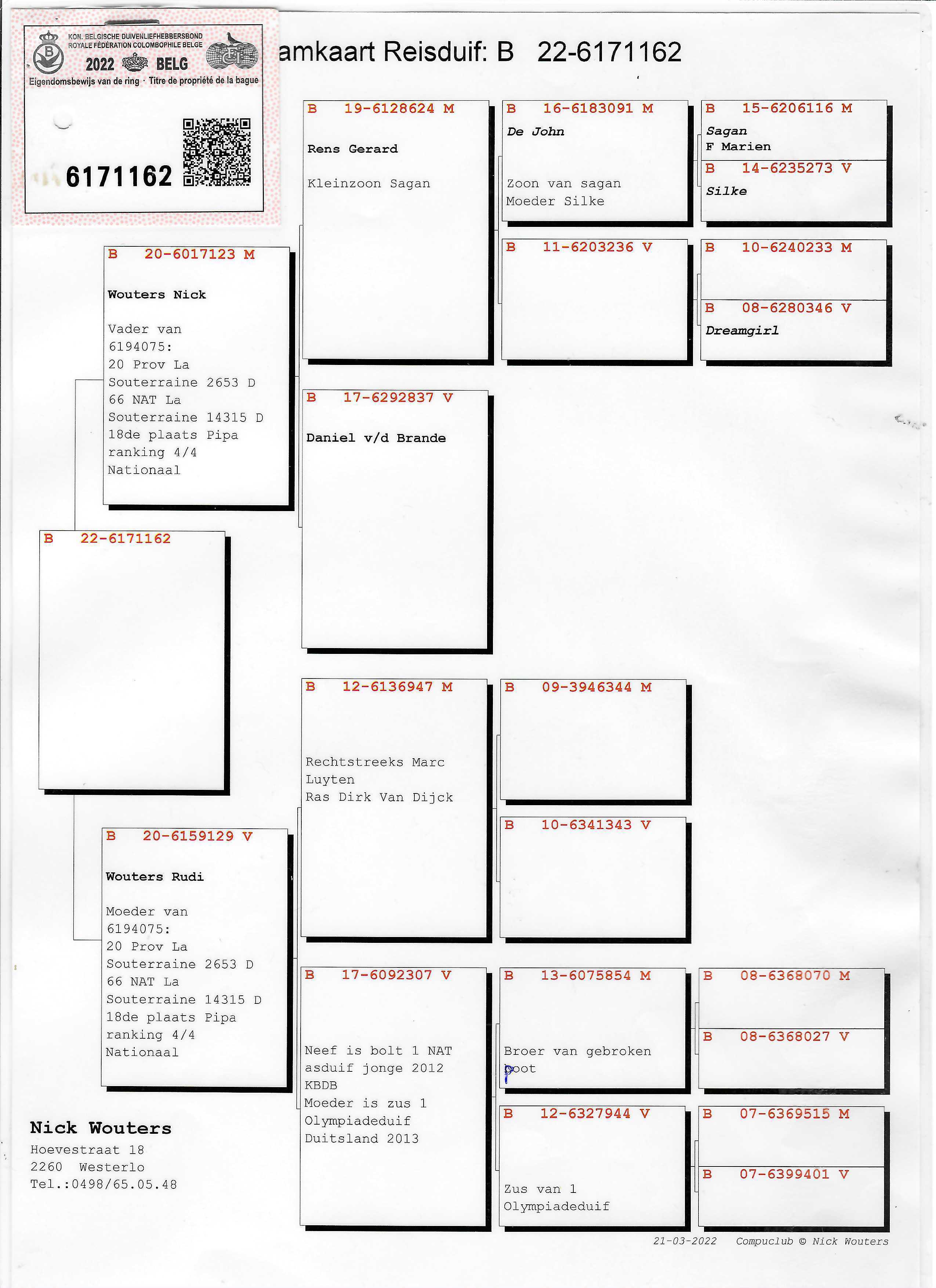 Pigeon pedigree image