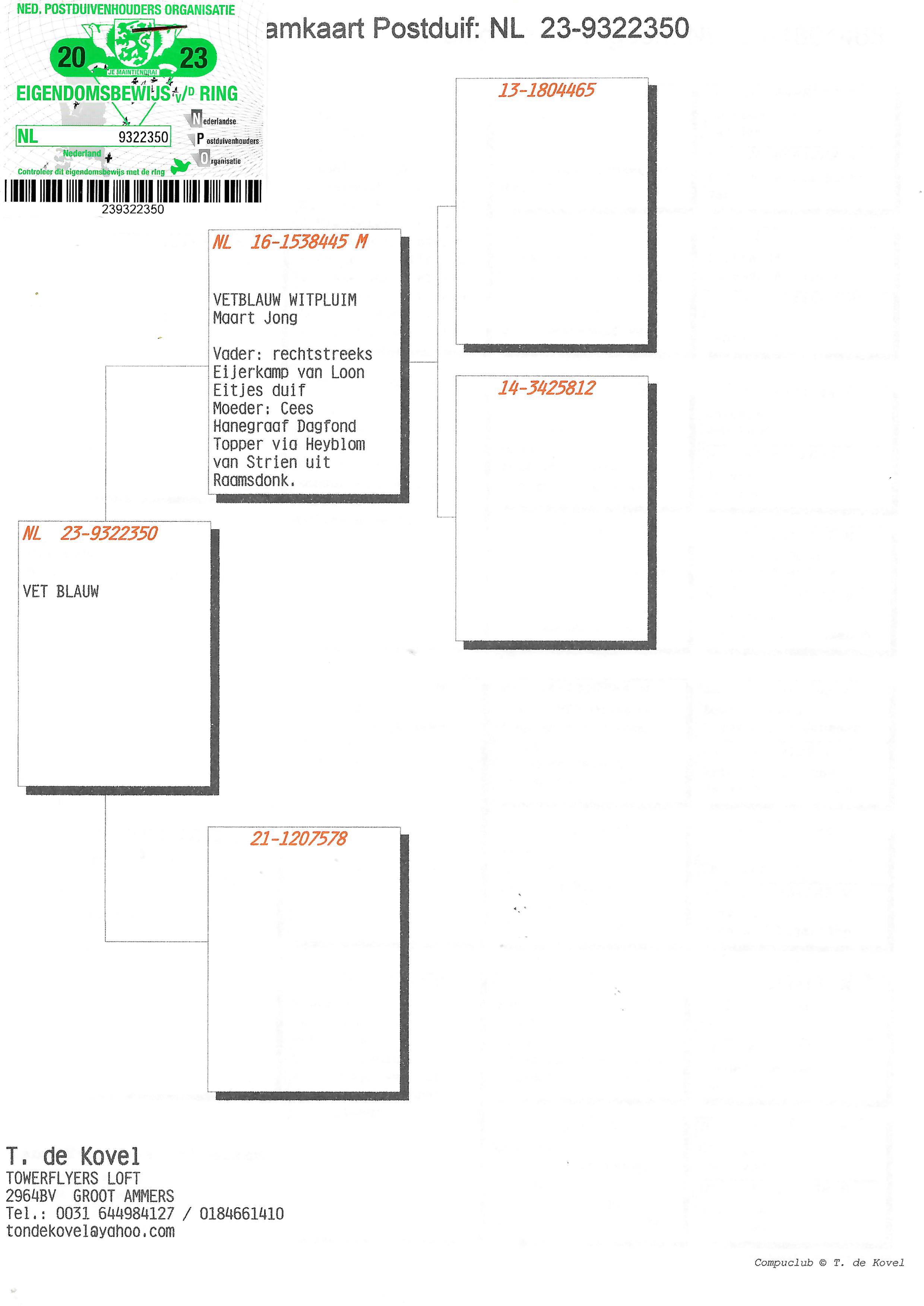 Pigeon pedigree image