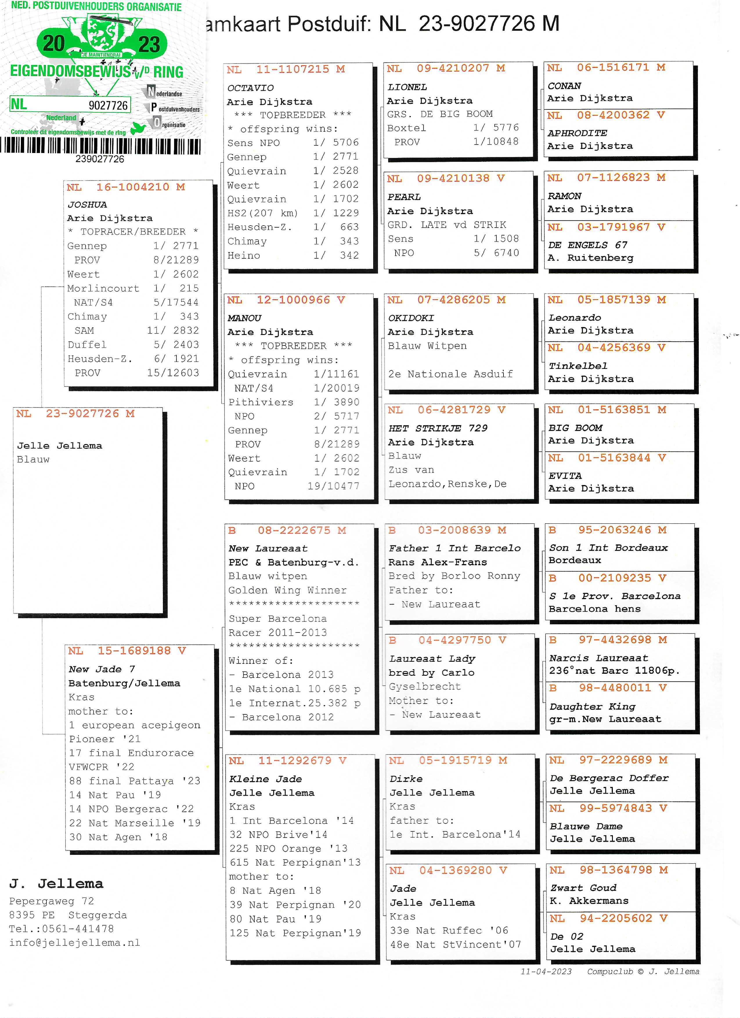 Pigeon pedigree image