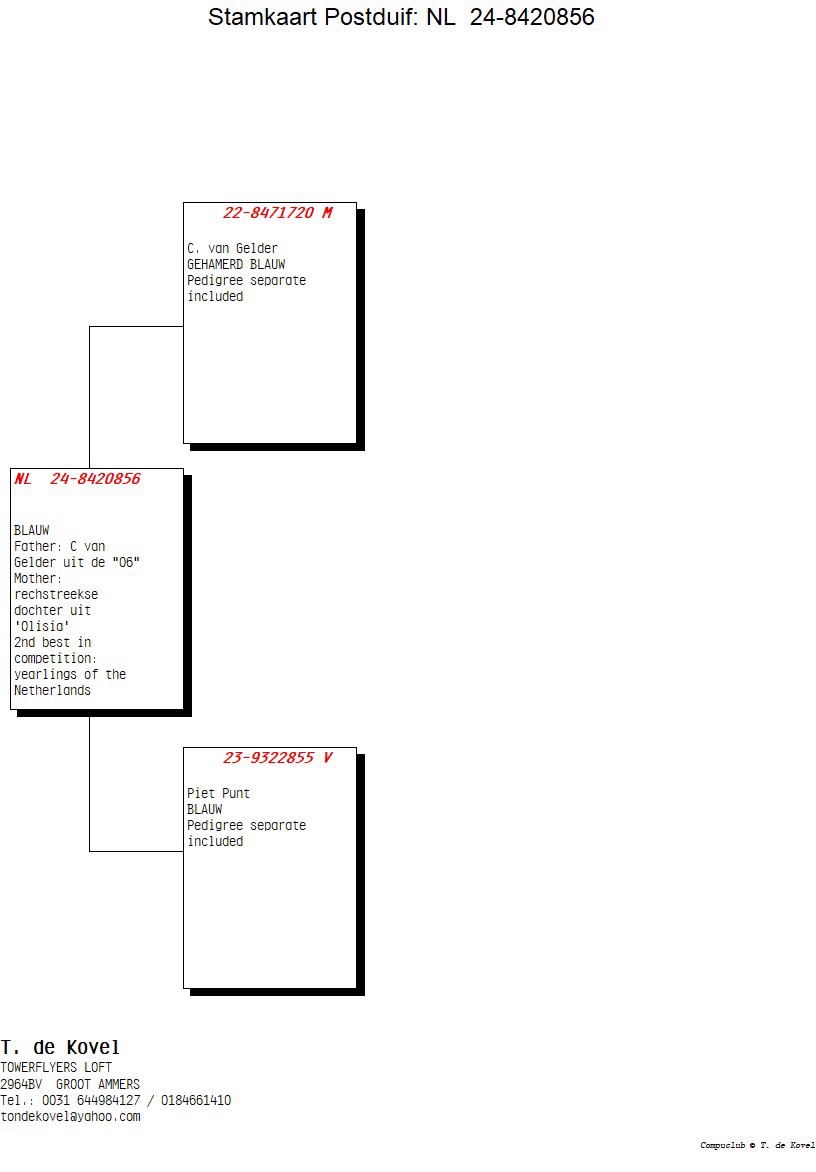 Pigeon pedigree image