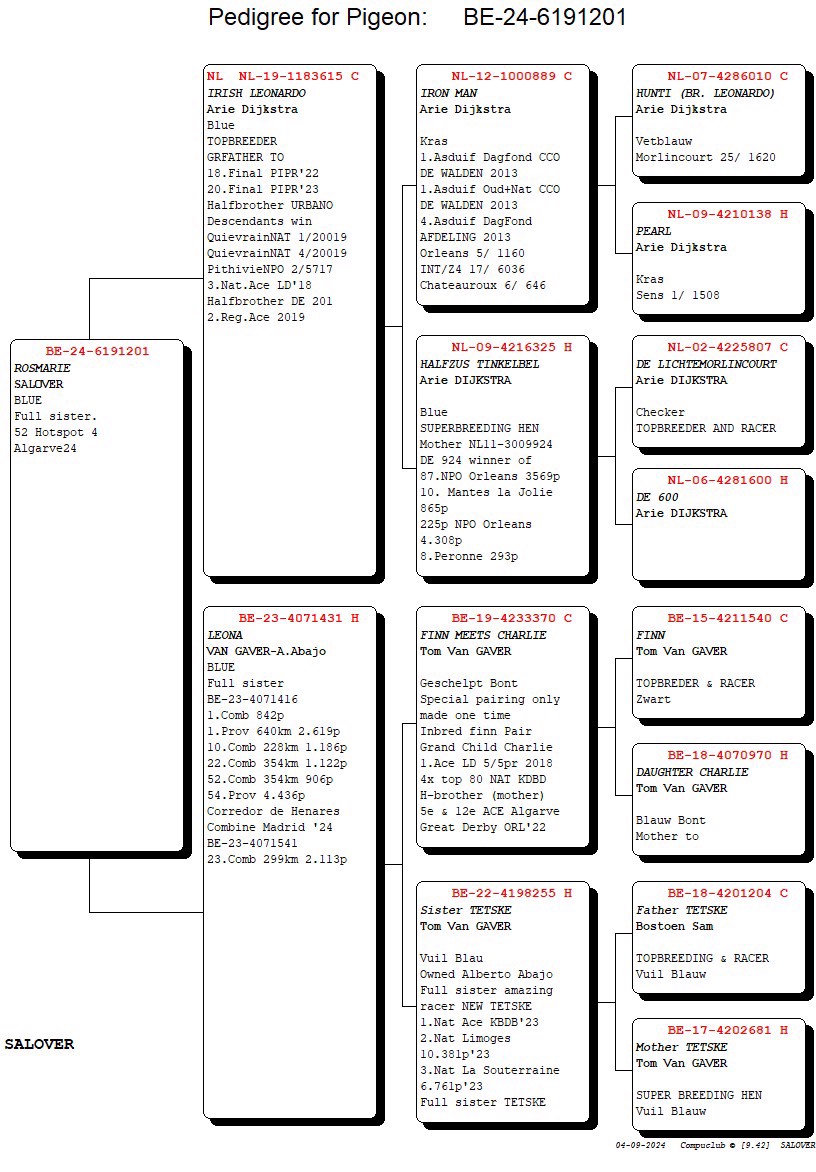 Pigeon pedigree image