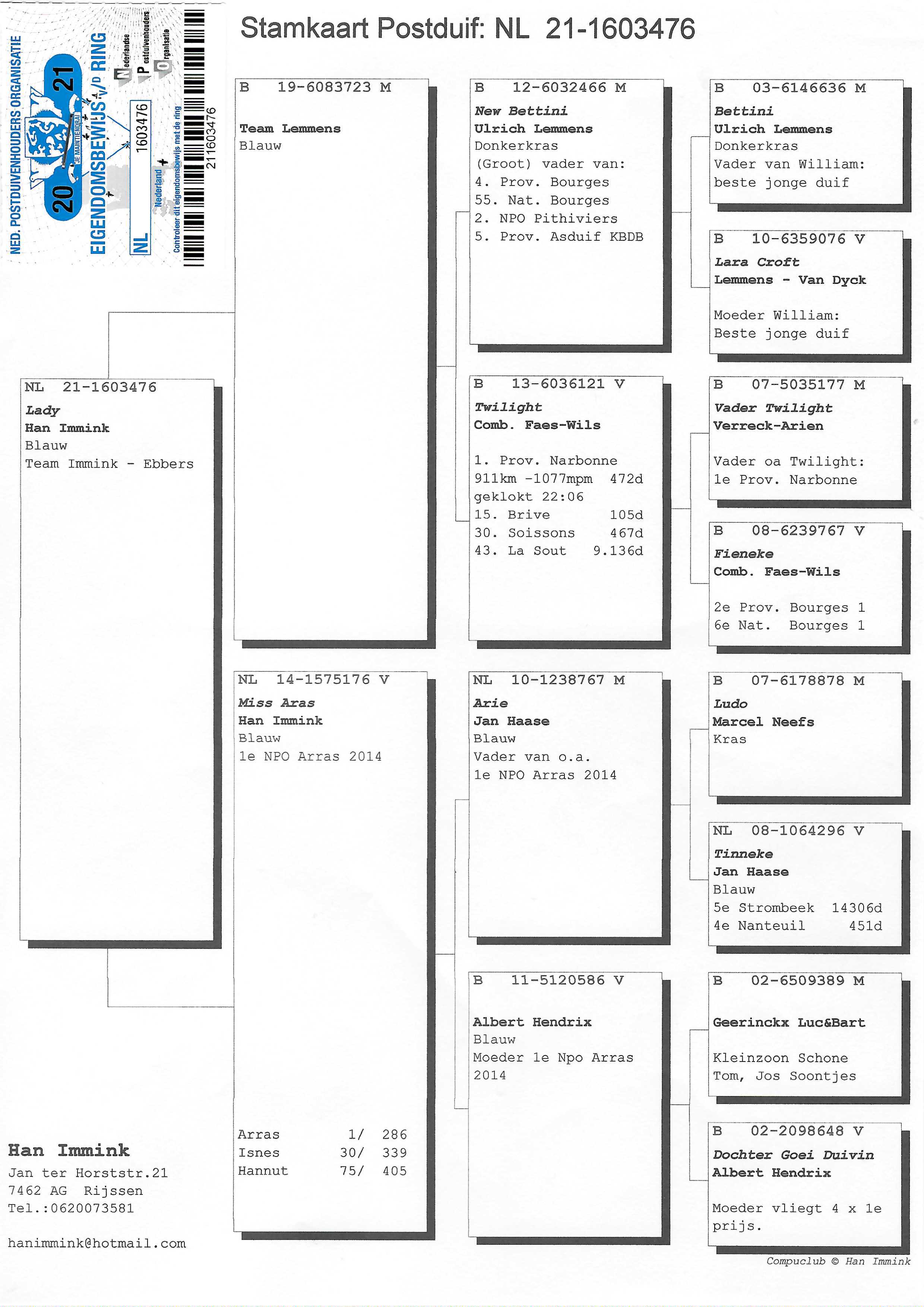 Pigeon pedigree image