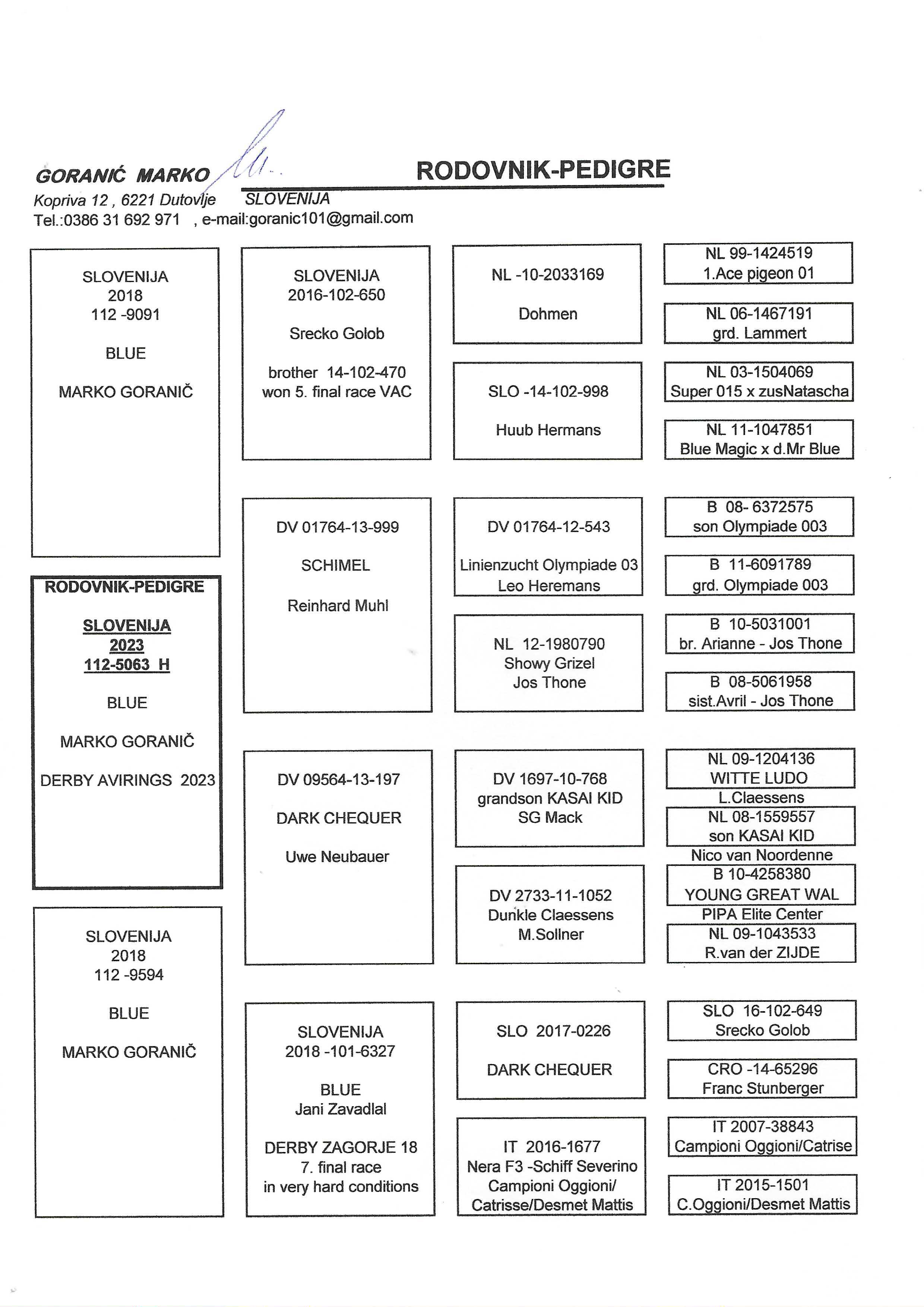 Pigeon pedigree image