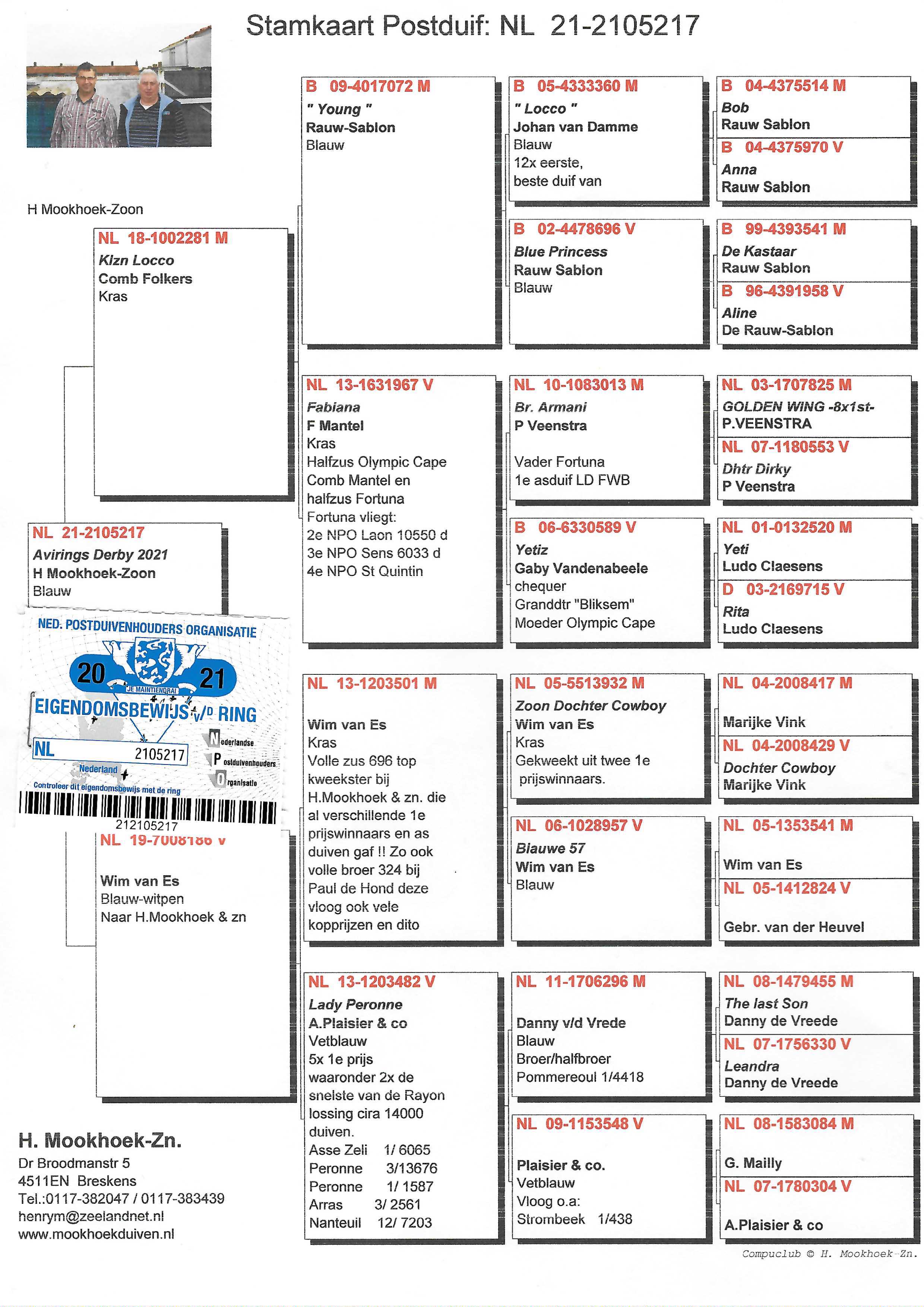 Pigeon pedigree image