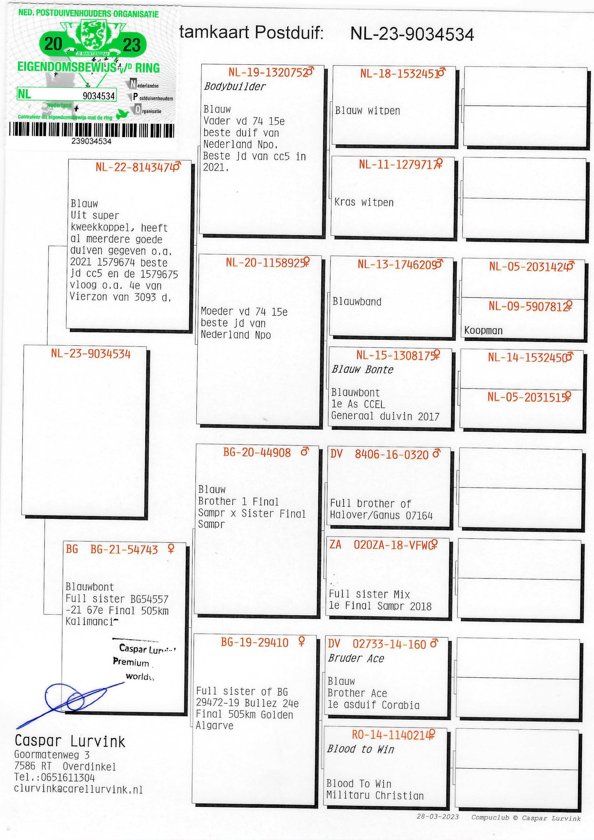 Pigeon pedigree image
