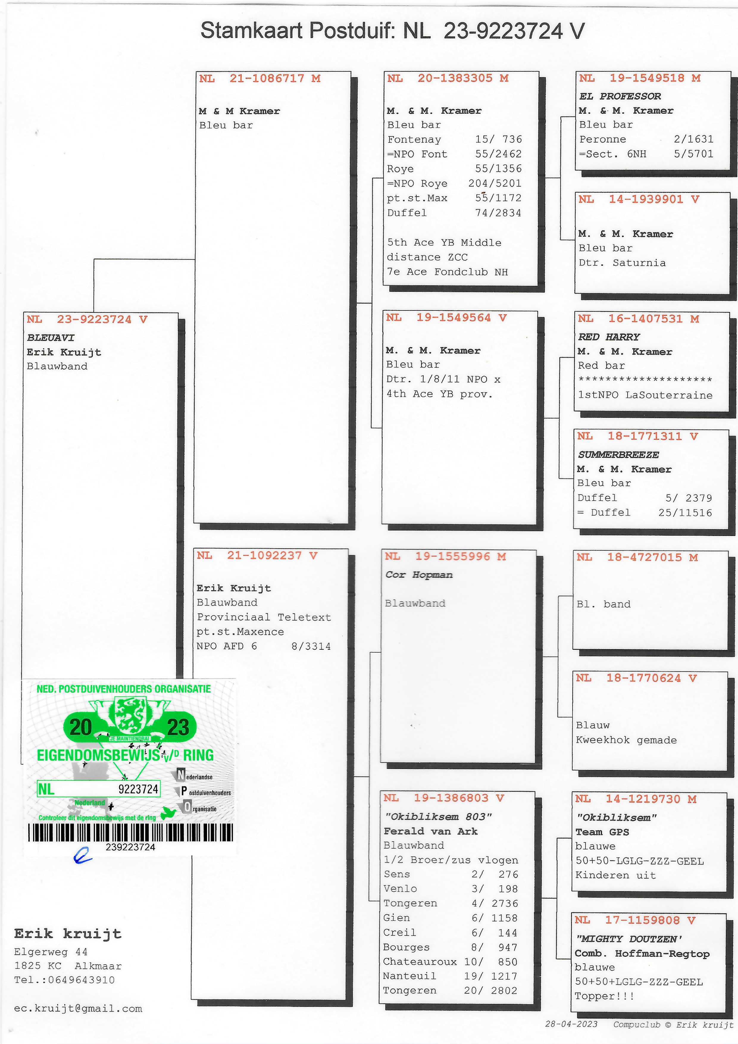 Pigeon pedigree image