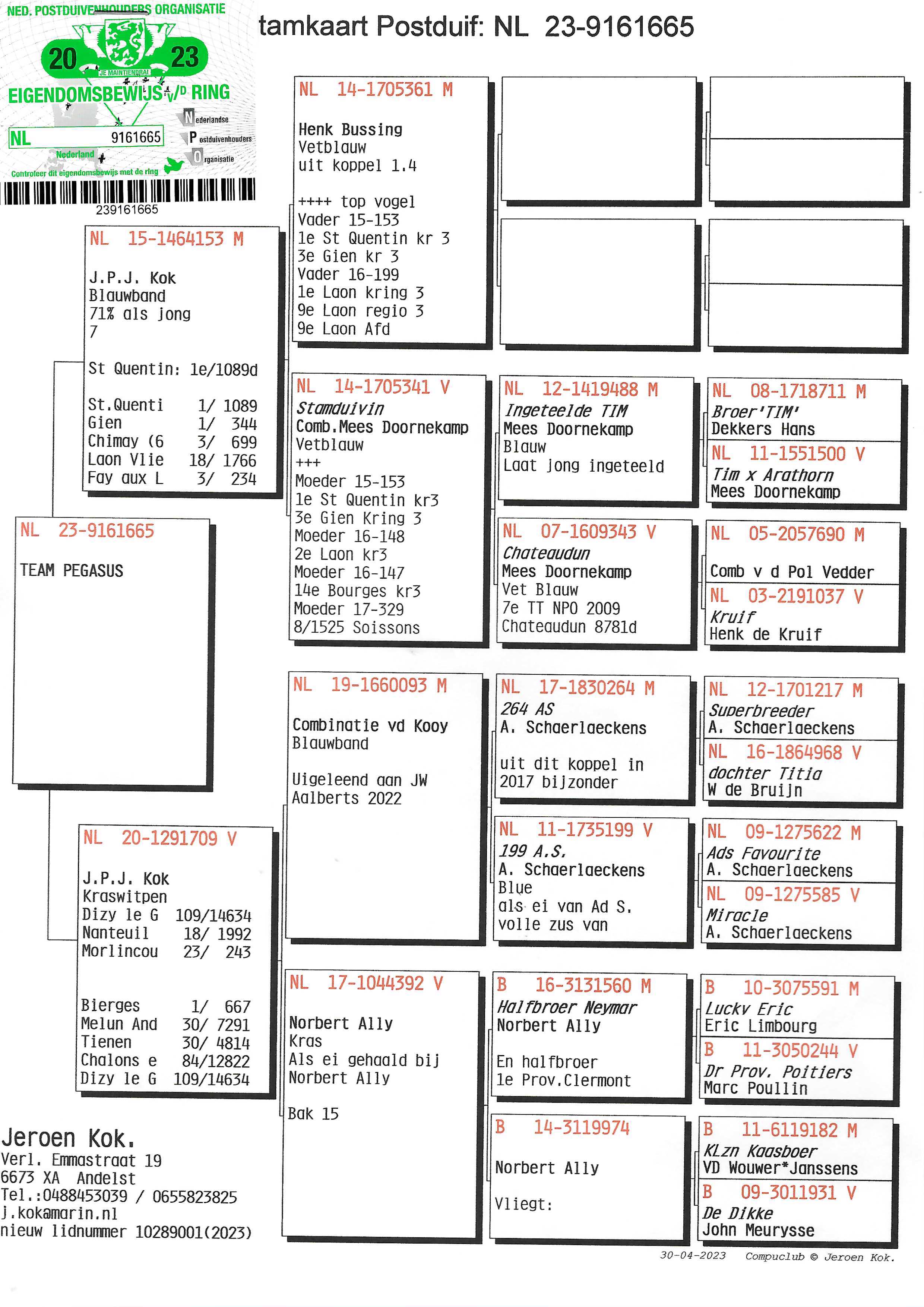 Pigeon pedigree image