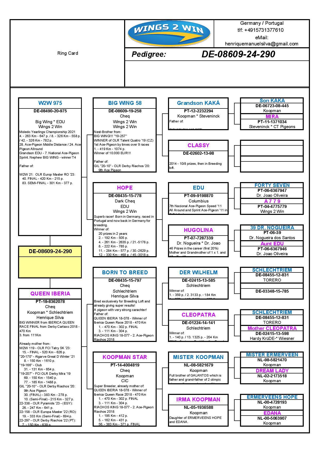 Pigeon pedigree image