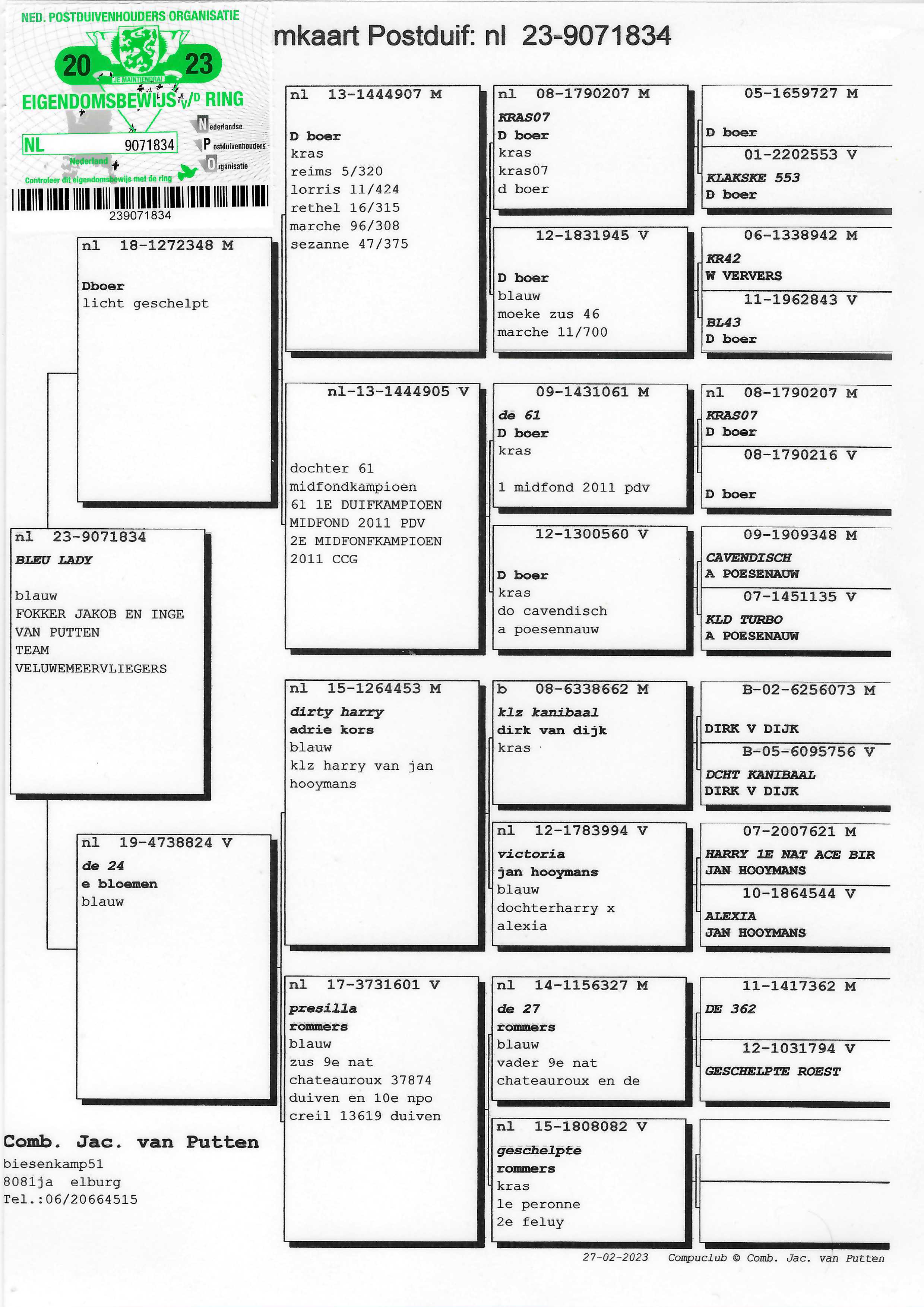 Pigeon pedigree image