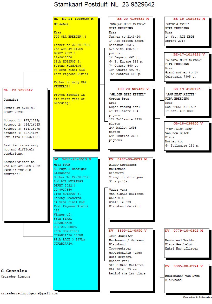 Pigeon pedigree image