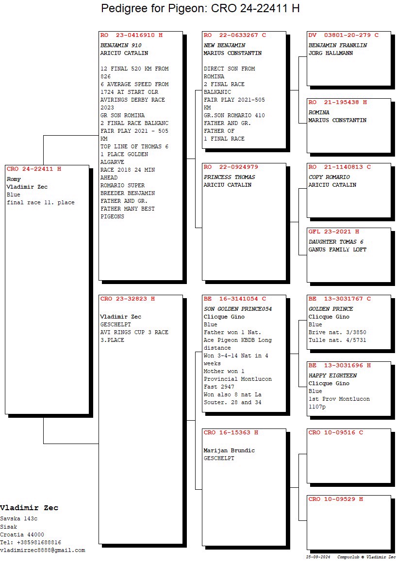 Pigeon pedigree image