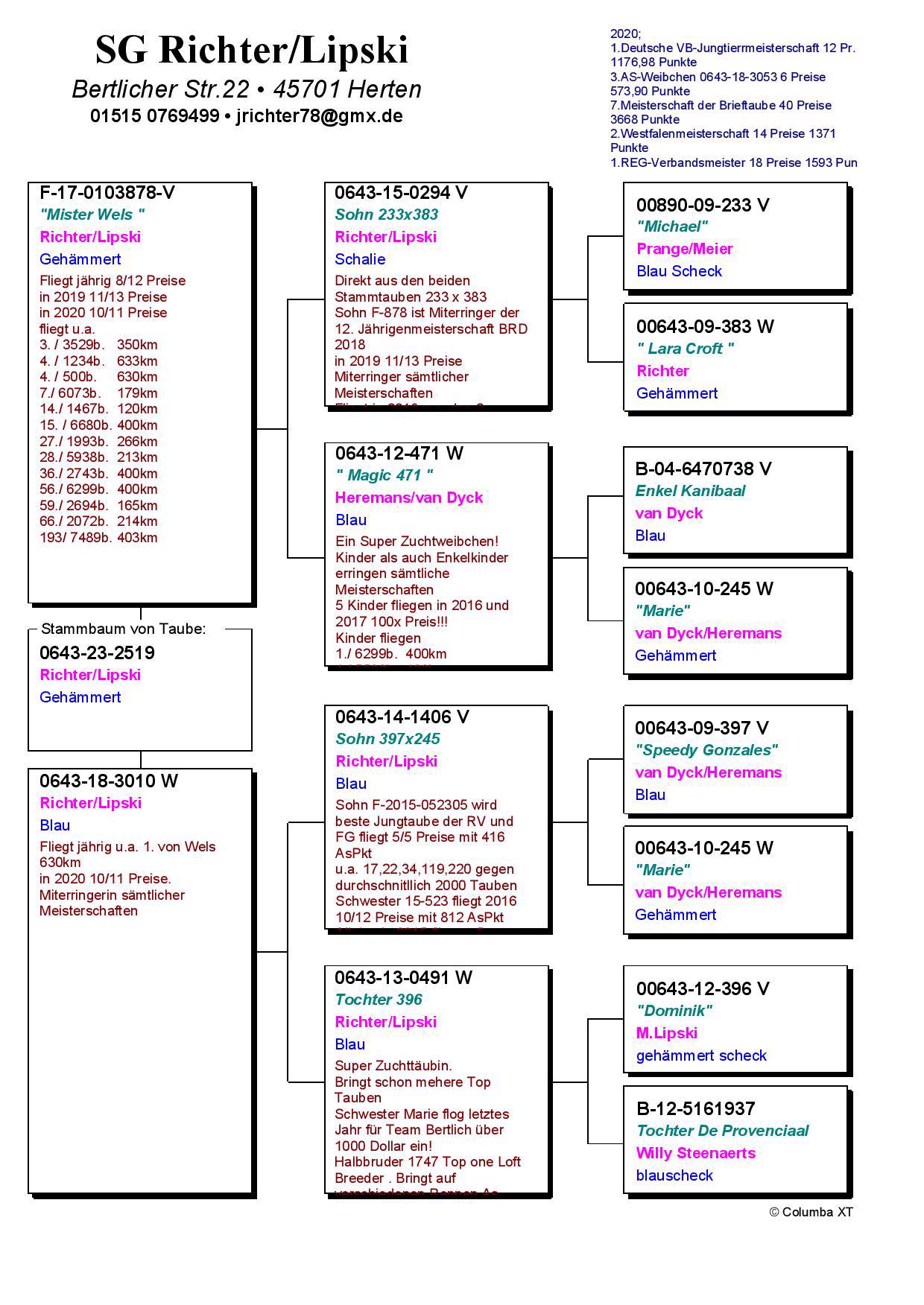 Pigeon pedigree image