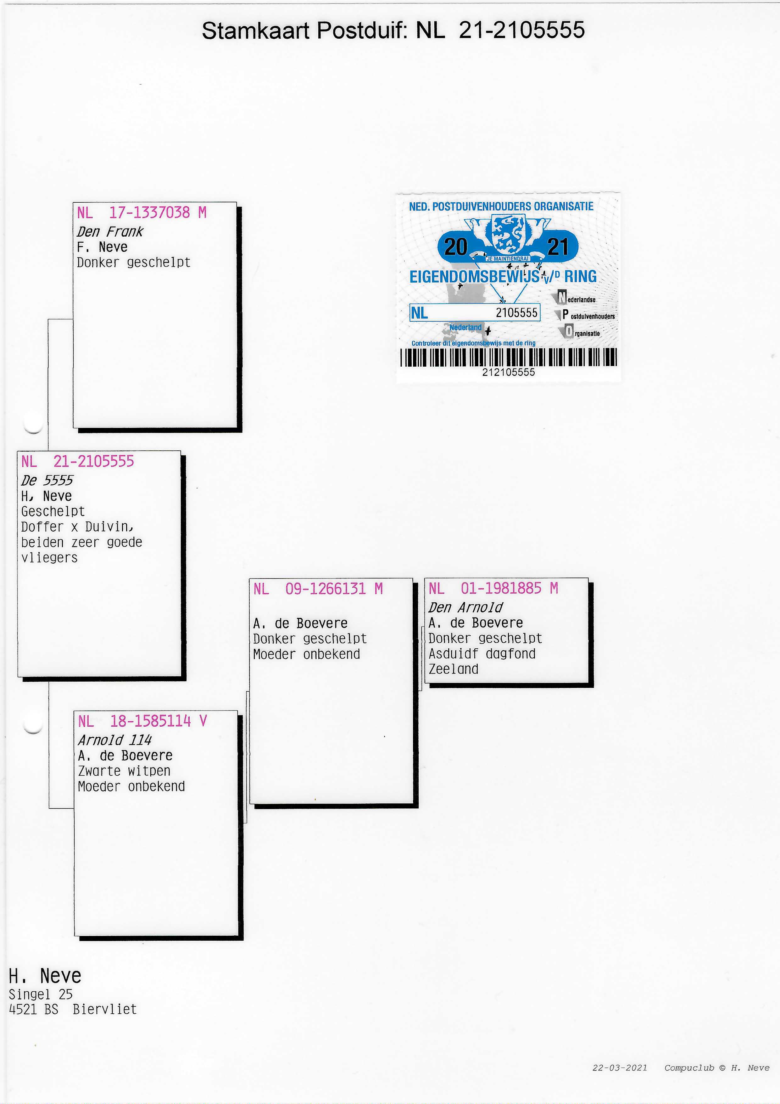 Pigeon pedigree image