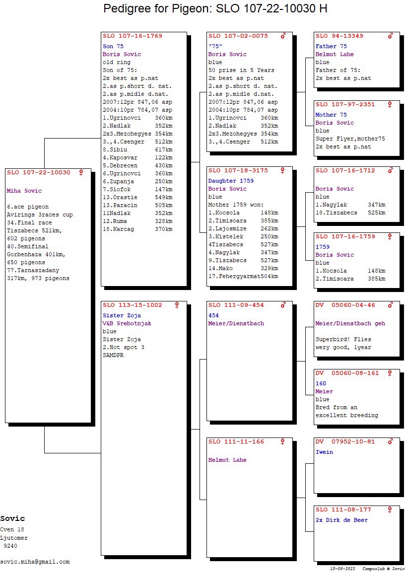 Pigeon pedigree image