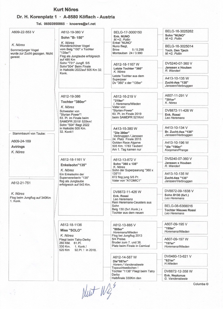 Pigeon pedigree image