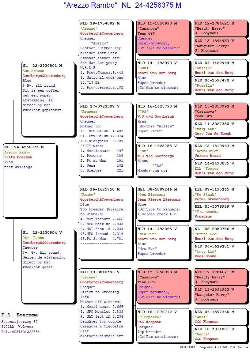 Pigeon pedigree image