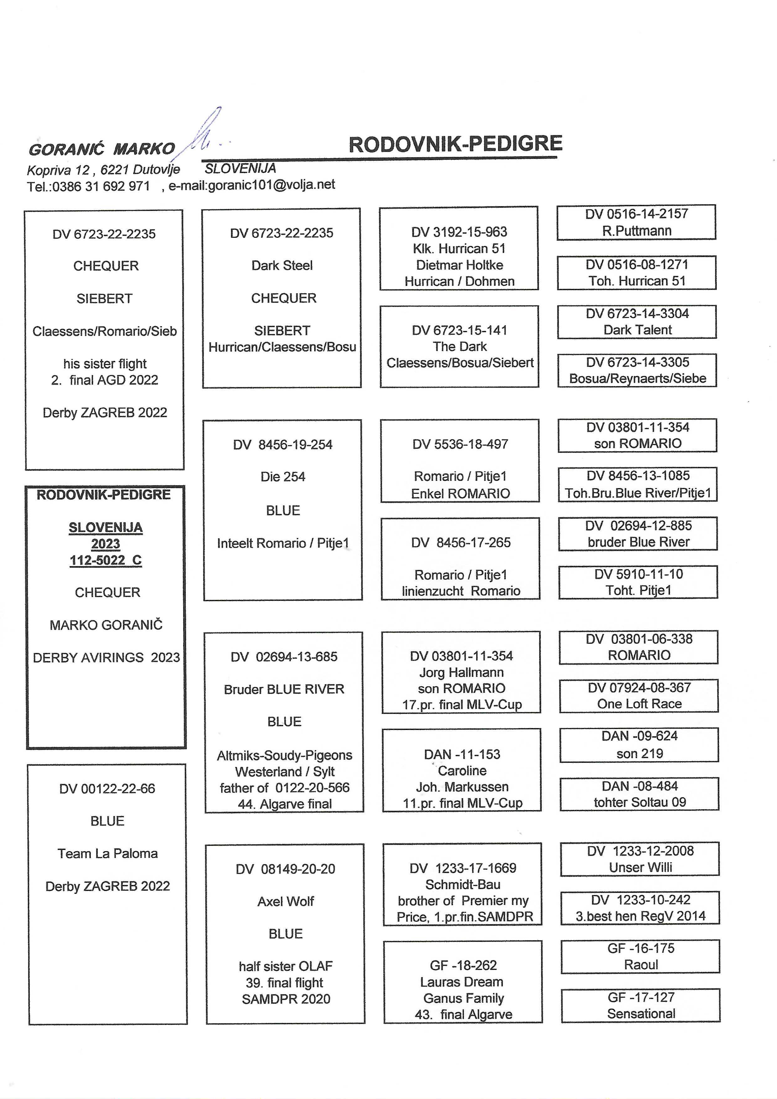 Pigeon pedigree image