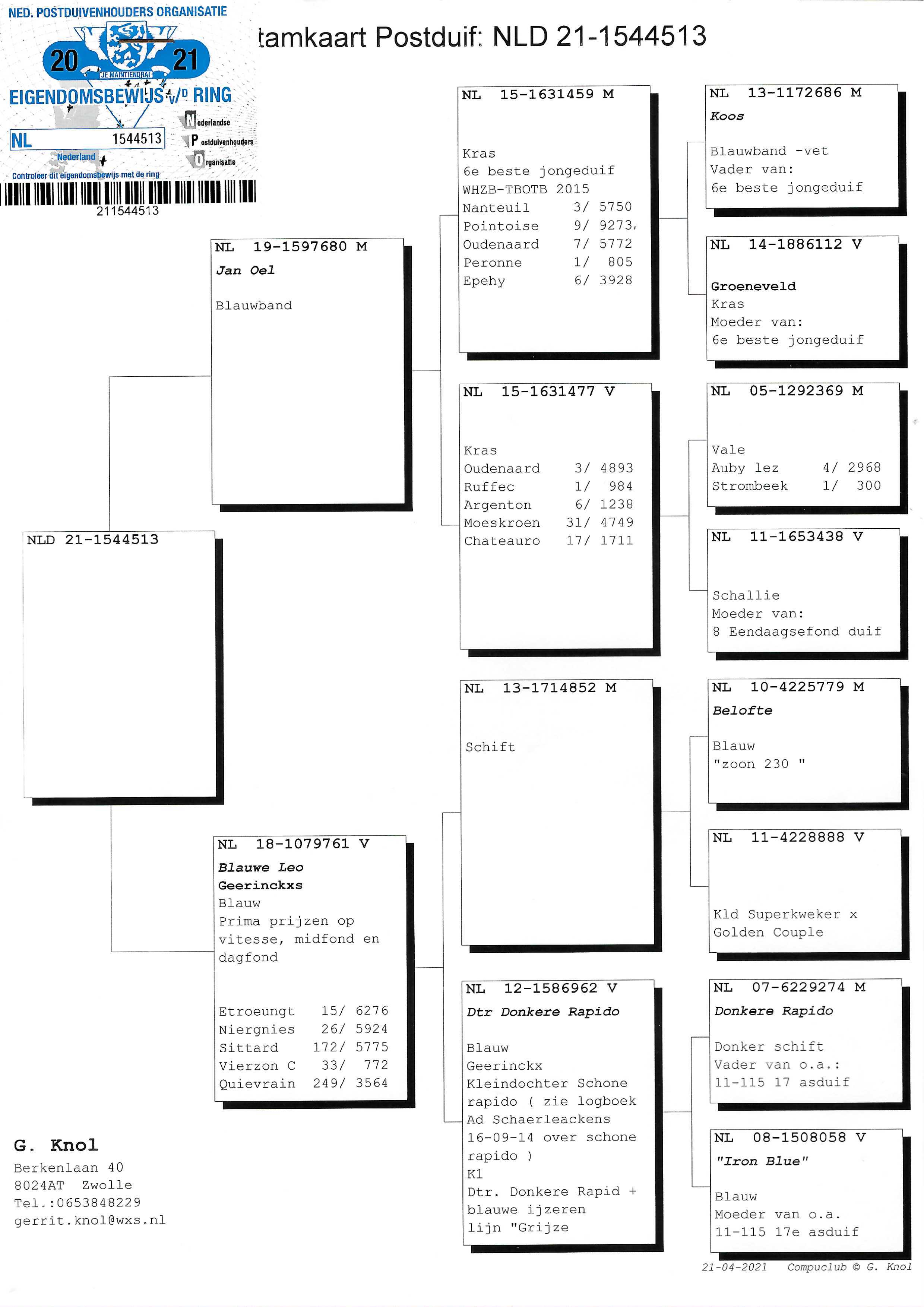 Pigeon pedigree image